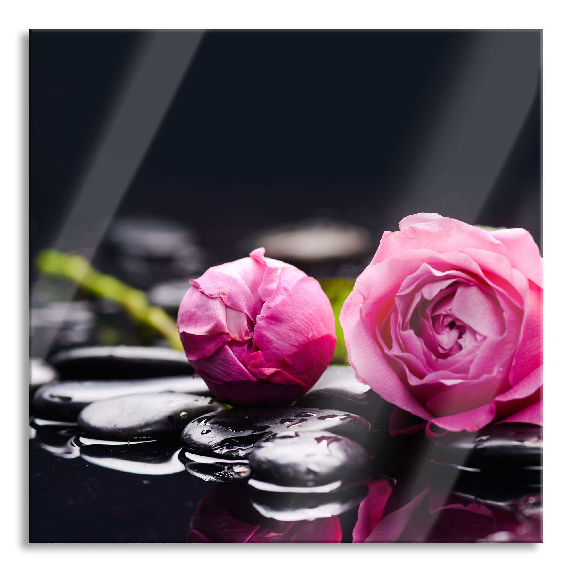 Glasbild Rosa Rosenblüte Hintergrund