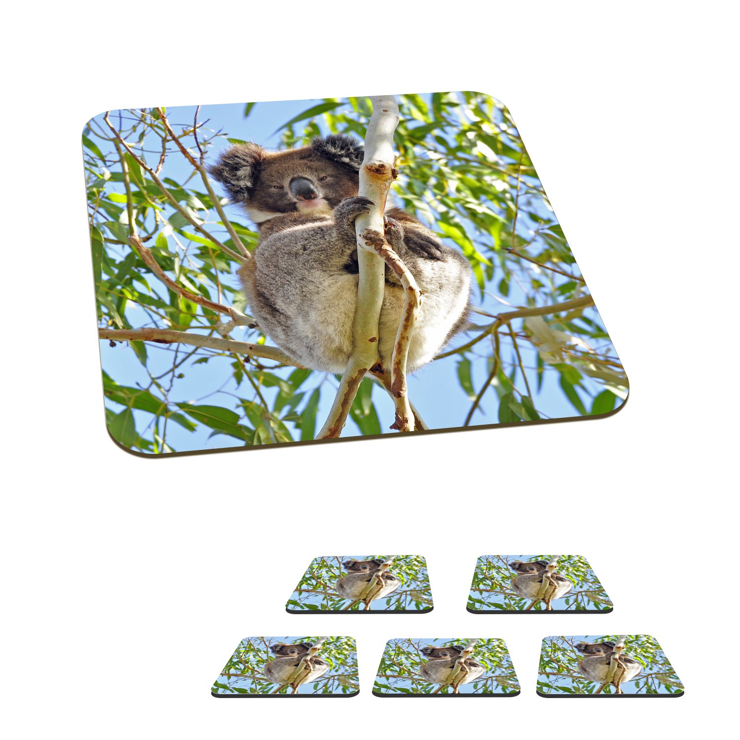MuchoWow Glasuntersetzer Koala - Luft - Zweige - Jungen - Mädchen, Zubehör für Gläser, 6-tlg., Glasuntersetzer, Tischuntersetzer, Korkuntersetzer, Untersetzer, Tasse