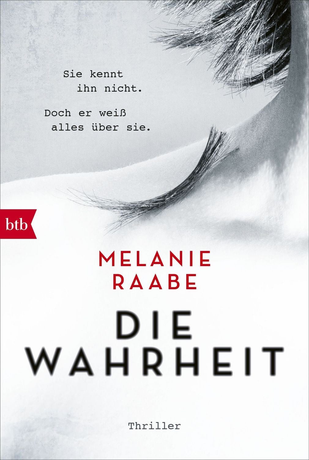 DIE WAHRHEIT / Melanie Raabe