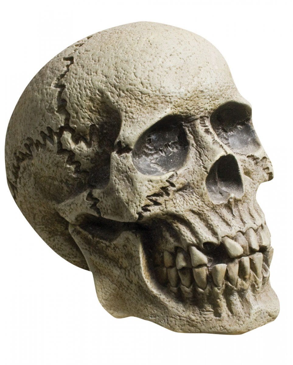Horror-Shop Dekofigur Skull Schädel grau-schwarz für realistische Hallow