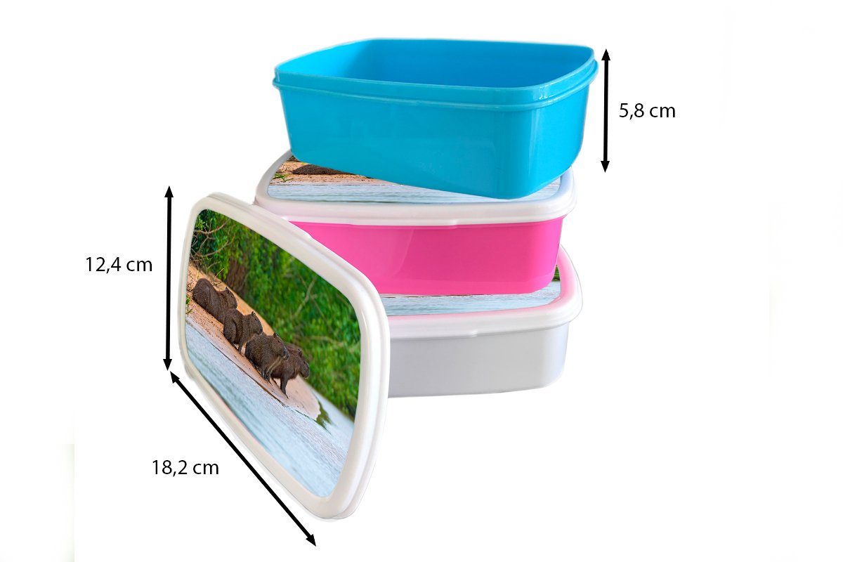 für Wasserschweine Snackbox, Erwachsene, sitzen Sandbank Kinder, (2-tlg), rosa Kunststoff Mädchen, Lunchbox Brotdose Vier Pantanal, im Kunststoff, auf Brotbox einer MuchoWow
