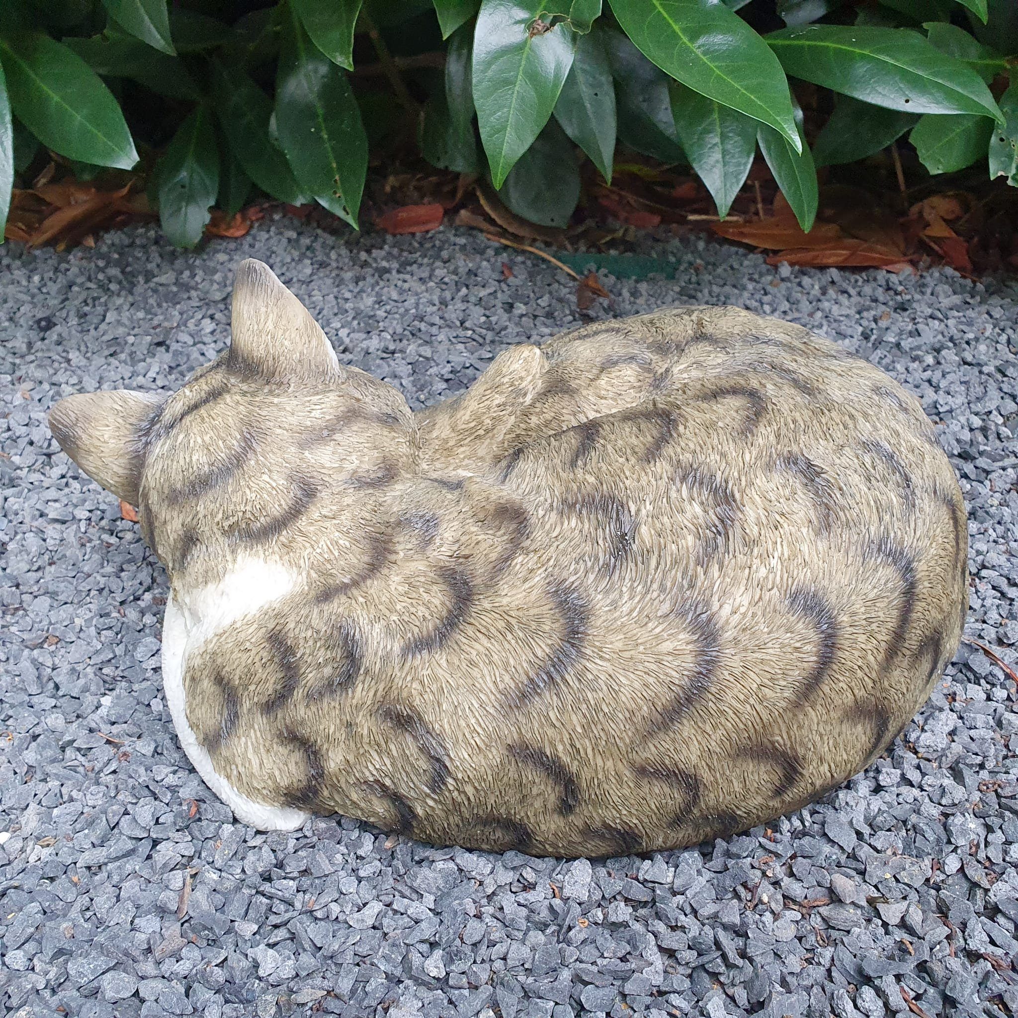 Aspinaworld Gartenfigur Schlafende cm 13 wetterfest Figur Katzen