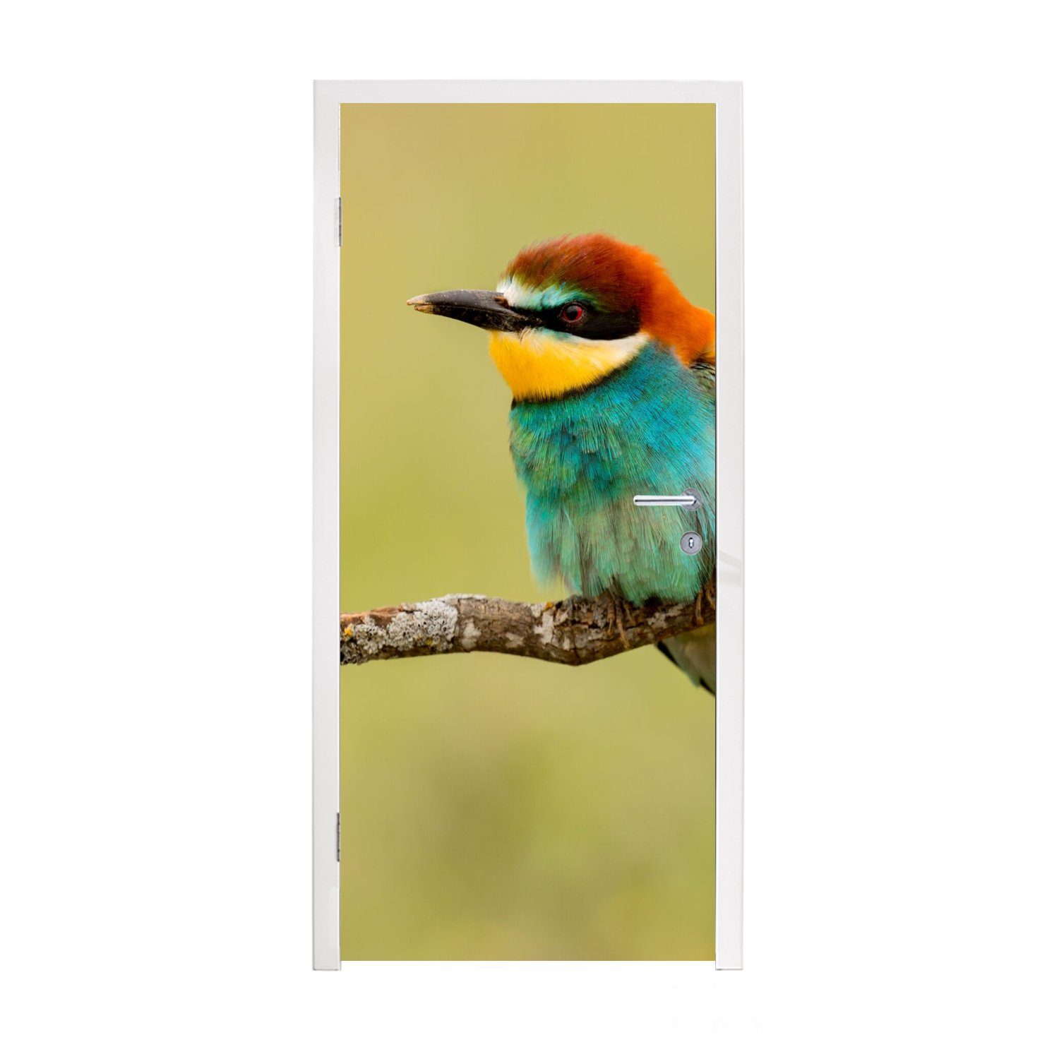 MuchoWow Türtapete Vogel - Bienenfresser - Tiere, Matt, bedruckt, (1 St), Fototapete für Tür, Türaufkleber, 75x205 cm