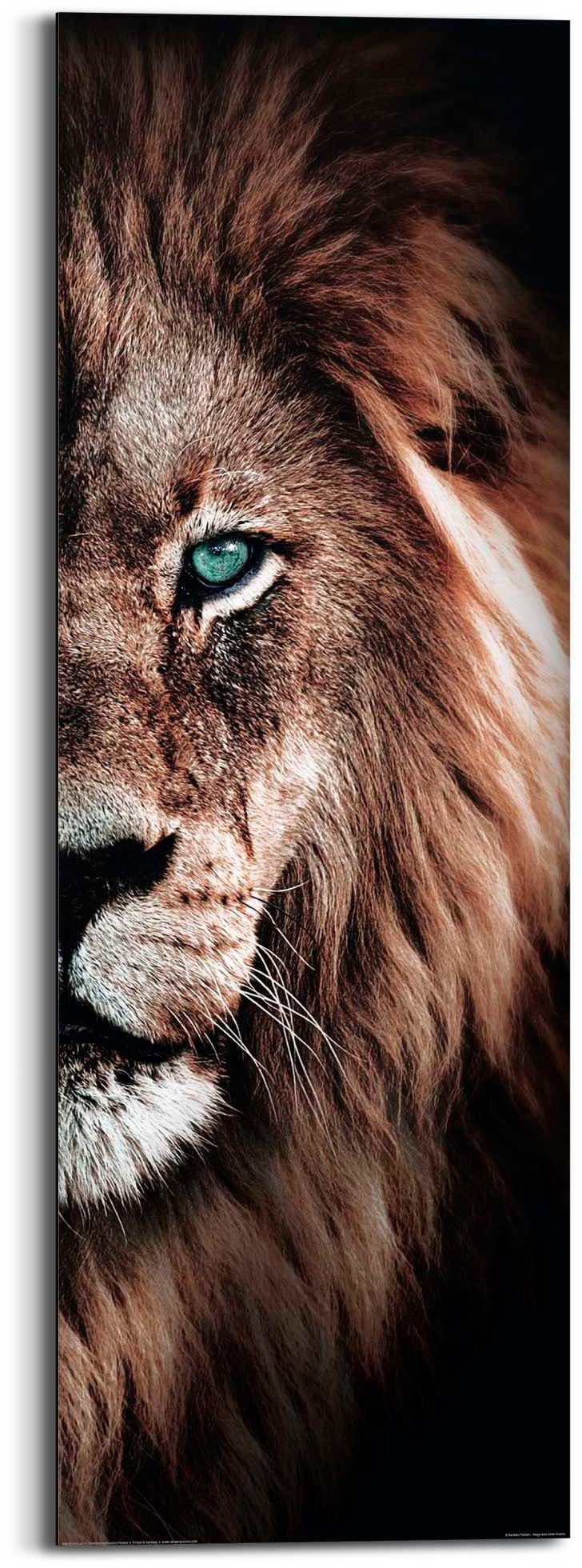 Reinders! Deco-Panel Löwe günstig online kaufen