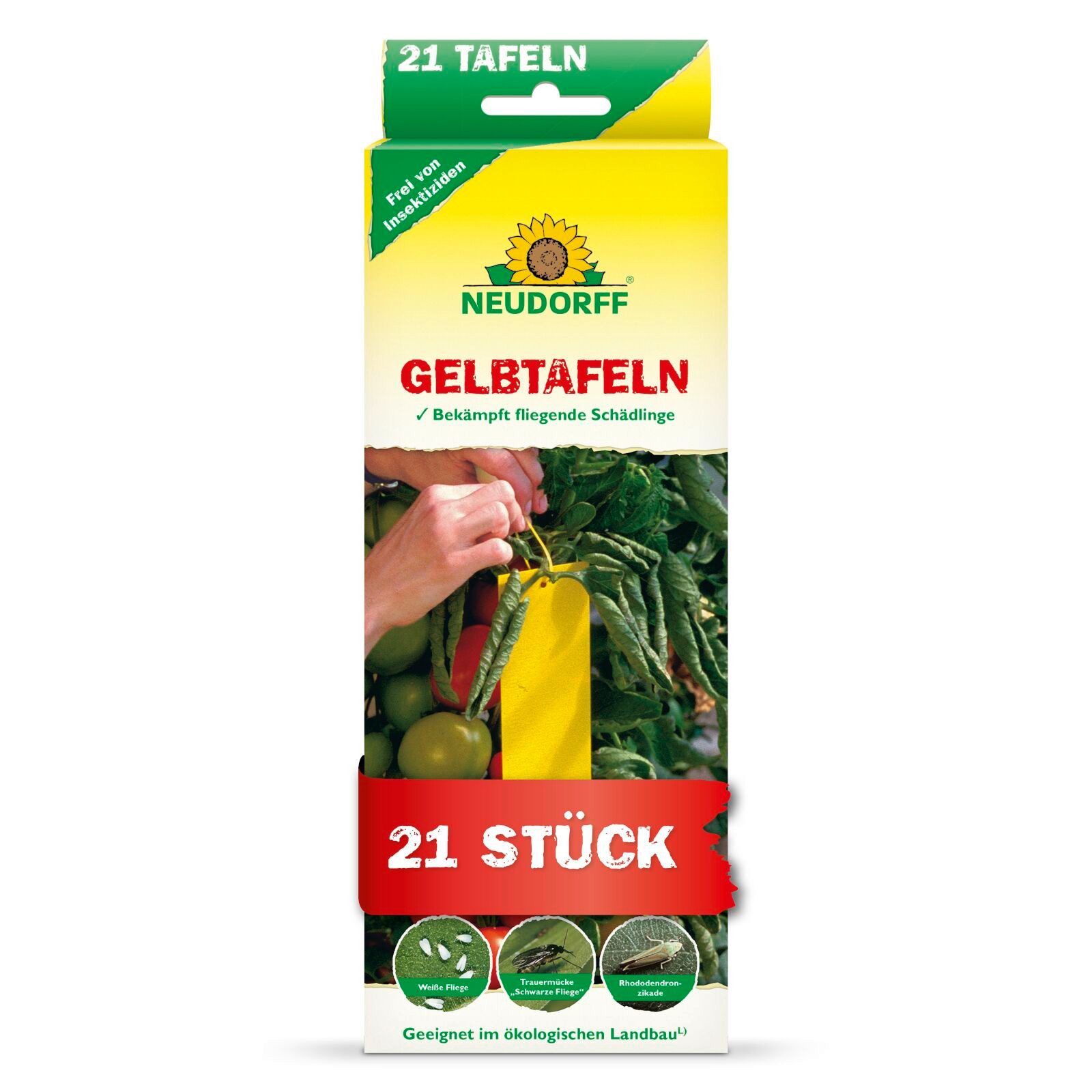 Insektenfalle Gelbtafeln (kleinformatig) 21 Stück