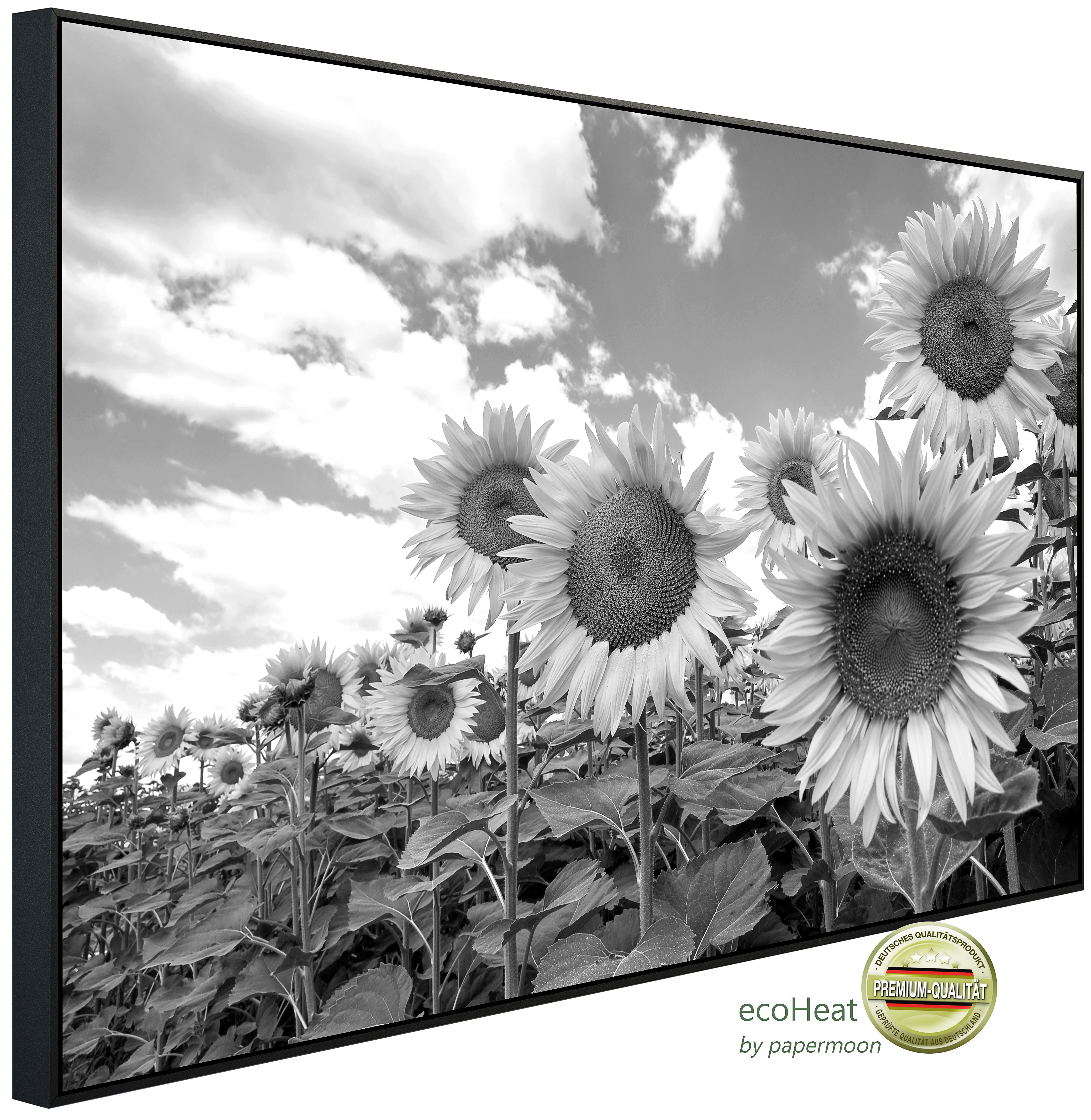 Infrarotheizung INFRAROT-BILD-HEIZUNG, Sonnenblumen Schwarz & Weiß