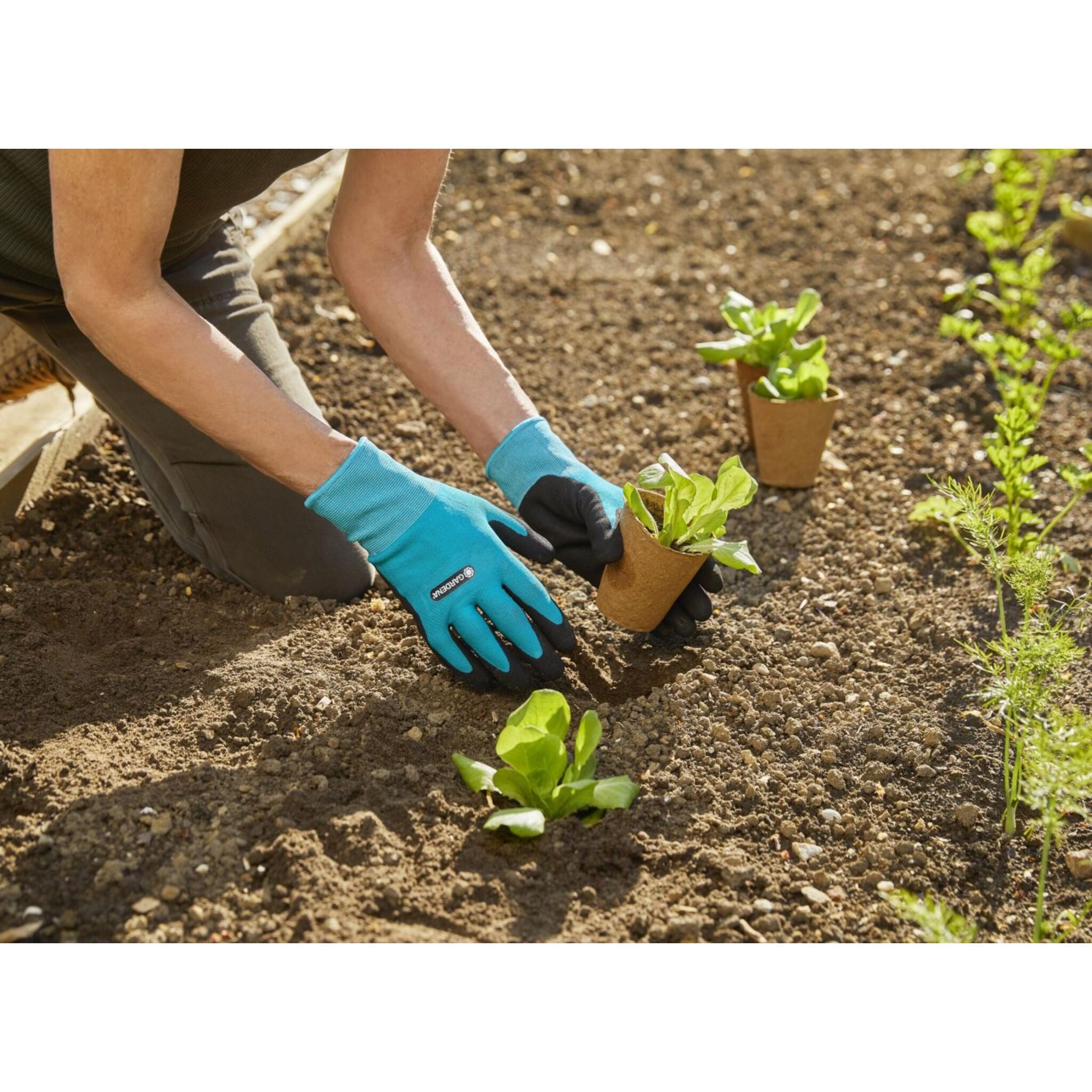 GARDENA Gartenhandschuhe Gardena Pflanz- und Bodenhandschuh günstig online kaufen
