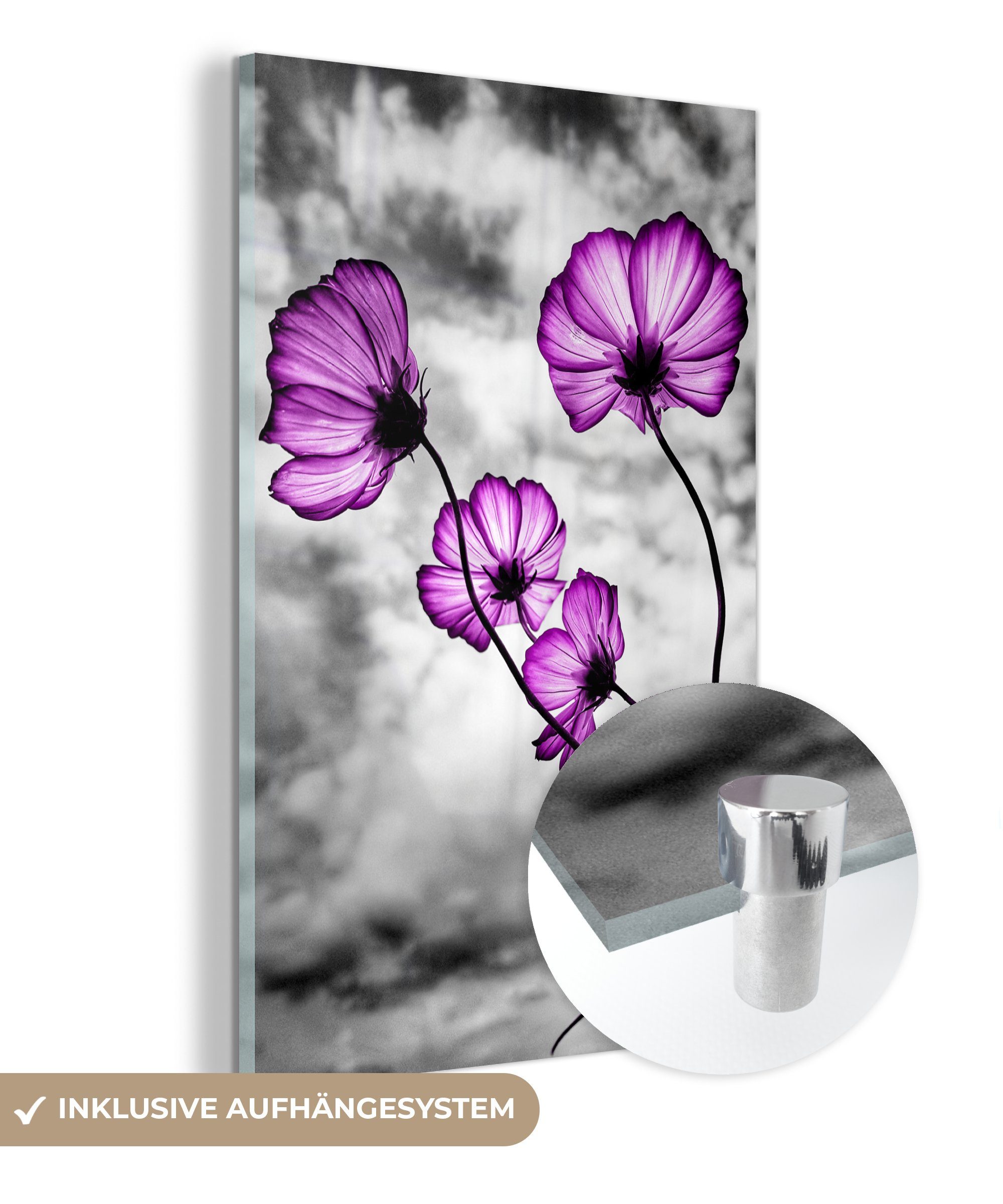 MuchoWow Acrylglasbild Blumen - Schwarz - Weiß - Lila, (1 St), Glasbilder - Bilder auf Glas Wandbild - Foto auf Glas - Wanddekoration