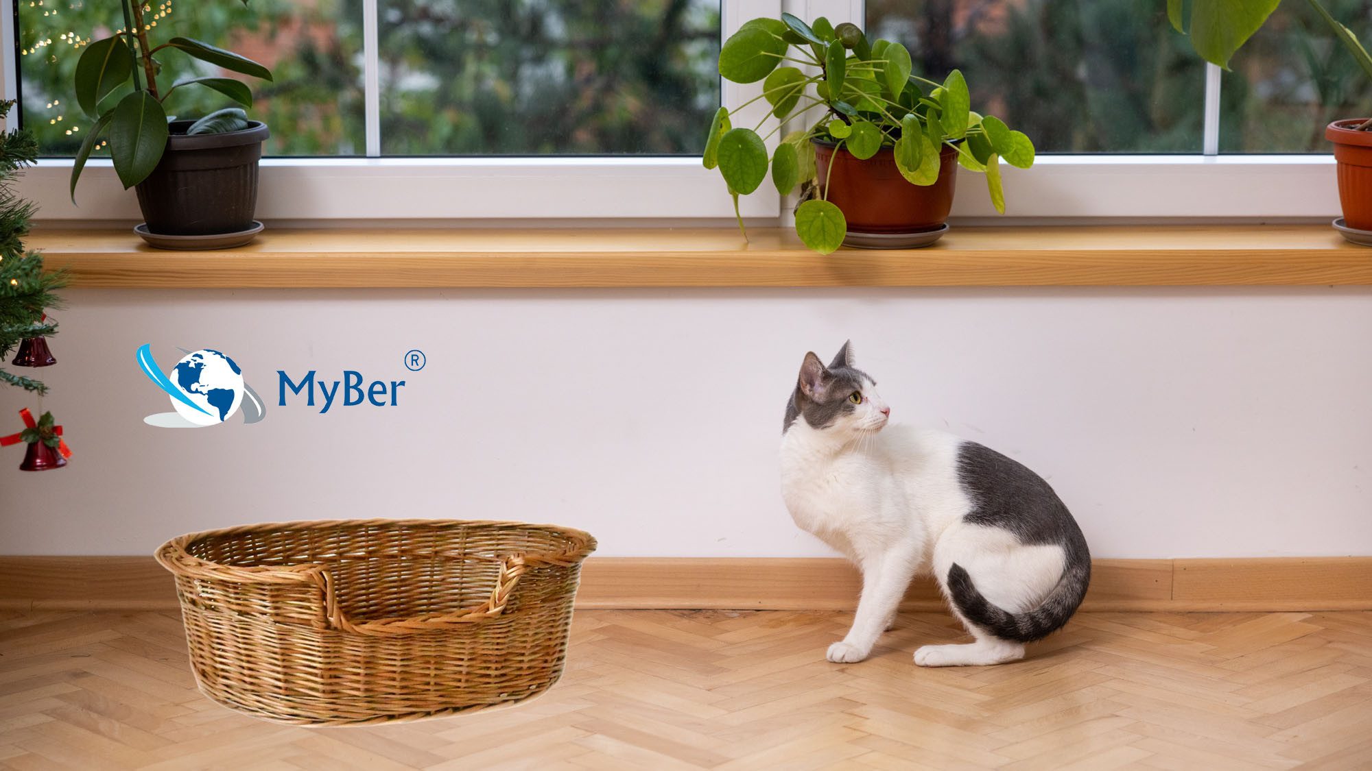 MyBer® Tierbett Katzenliege Hundeliege Katzenbett Hundebett Tier Sofa Liege Bett, aus Weide, Echte Handarbeit, hergestellt in EU, Tierliege in verschiedenen Grö – Bild 5 von 5