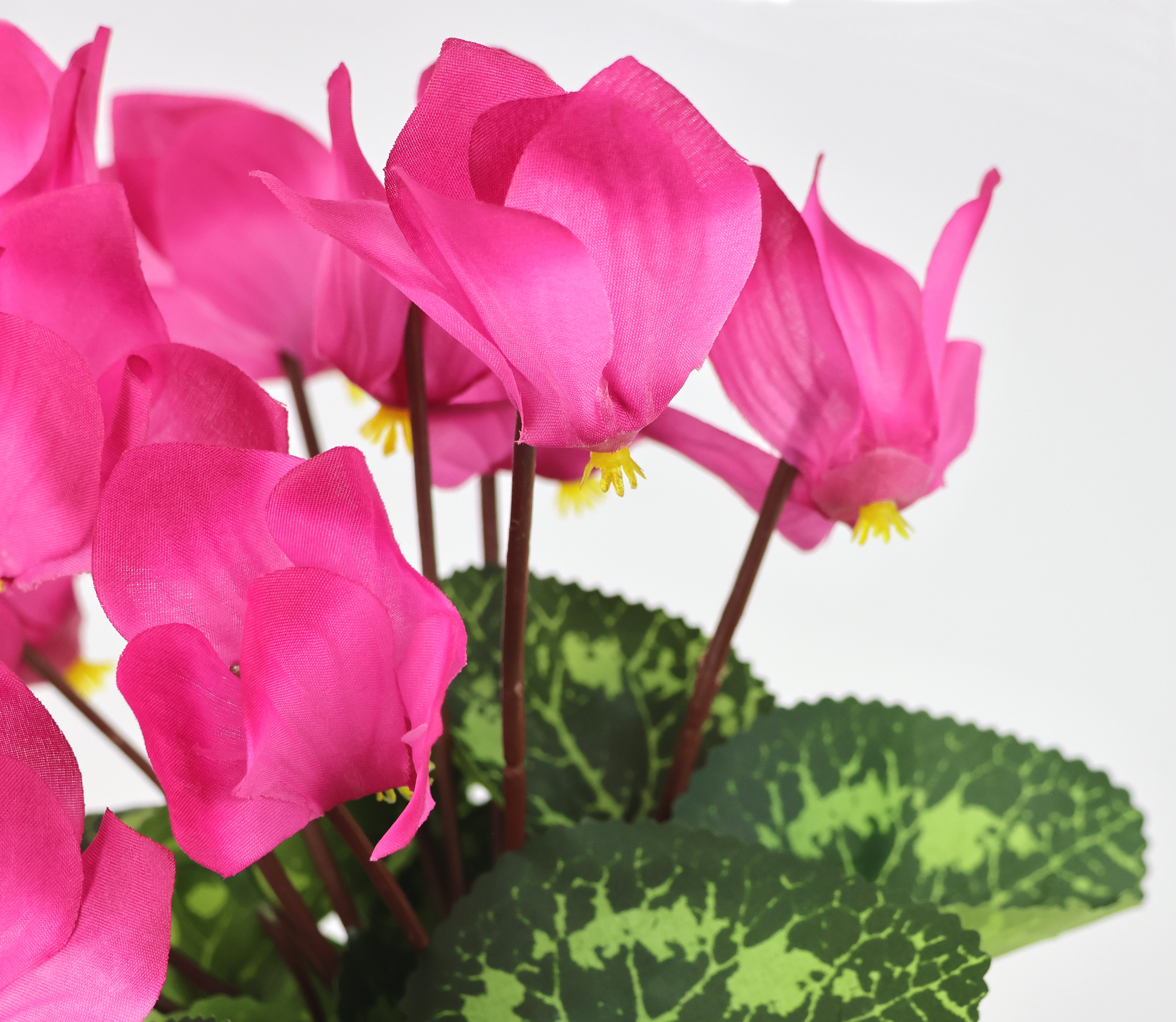 Kunstblume Alpenveilchen im Topf, I.GE.A., Höhe 28 cm, Künstliche Blume Dekopflanze Kunstpflanze Pflanze Primeln Seidenblume – Bild 2 von 2