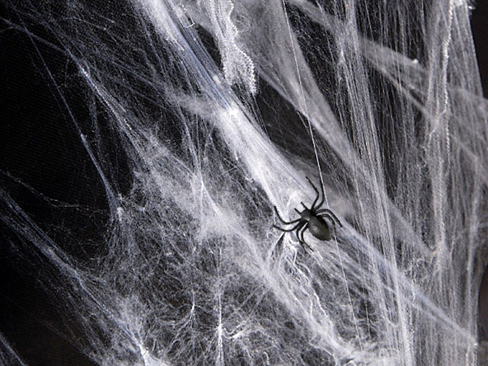 partydeco Bastelperlen Halloween Spinnennetz mit 2 Spinnen, 60g