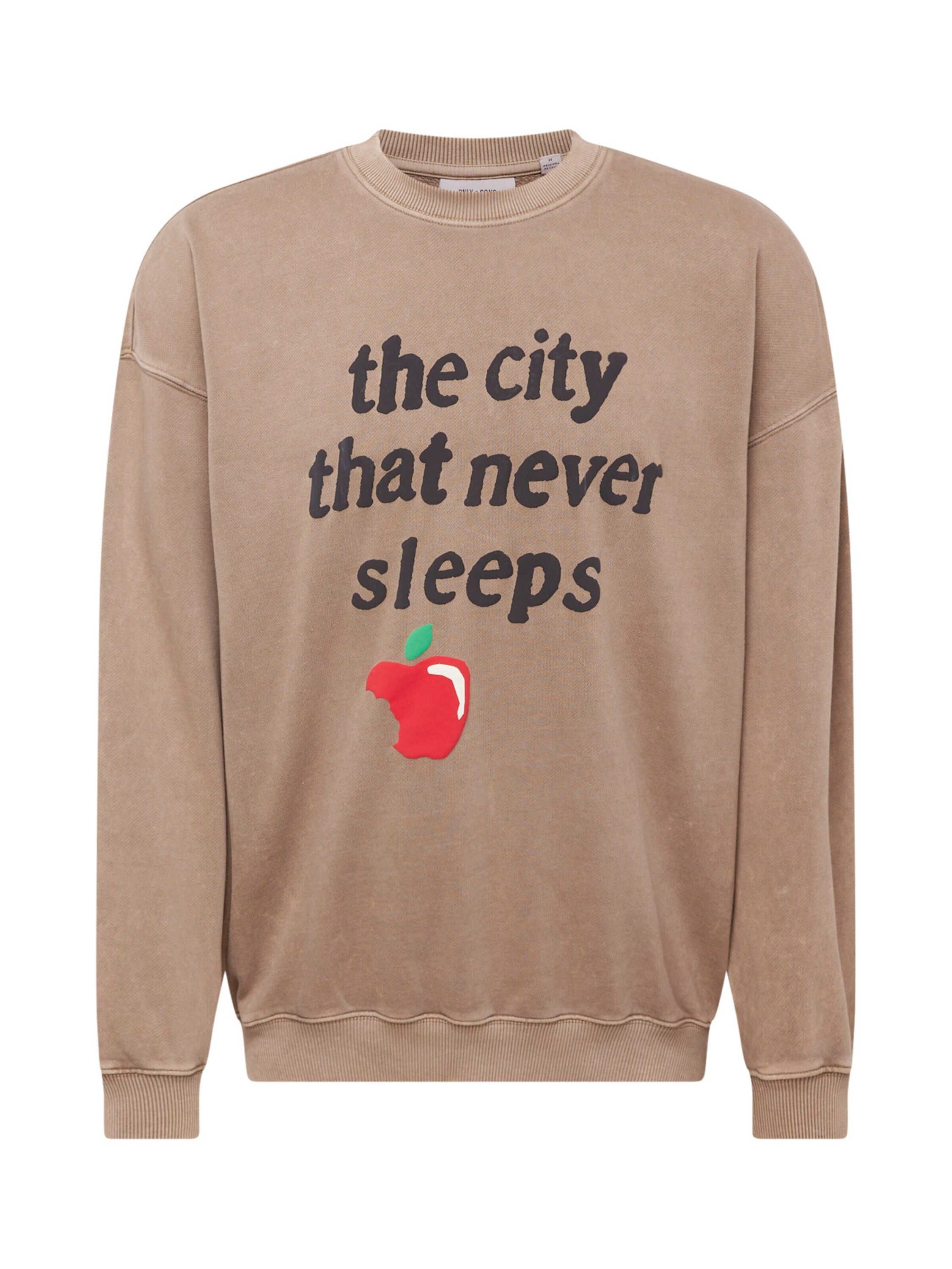 ONLY & SONS Sweatshirt ONSRAIDEN (1-tlg)