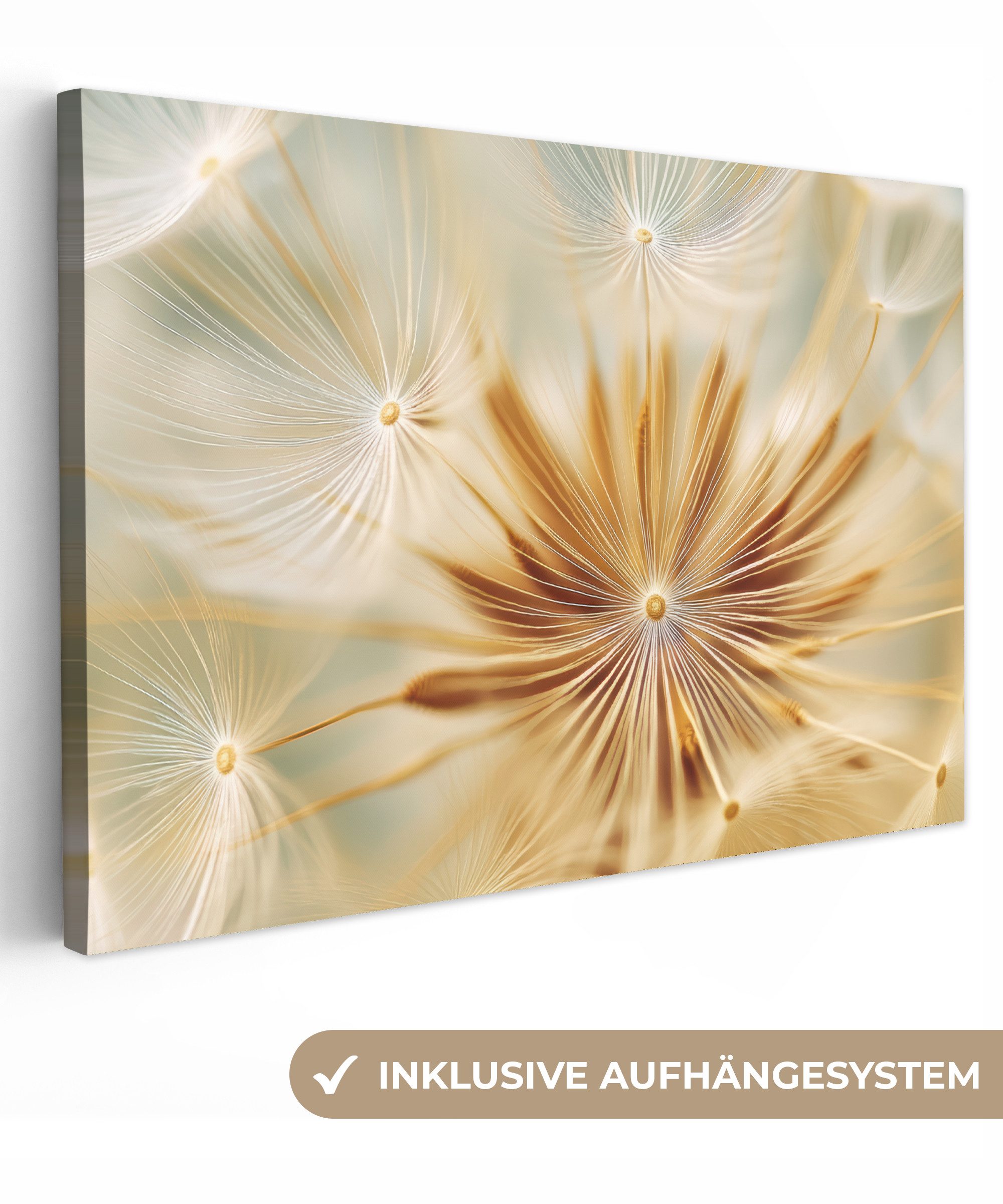 OneMillionCanvasses® Leinwandbild Löwenzahn - Beige - Abstrakt - Modern - N günstig online kaufen