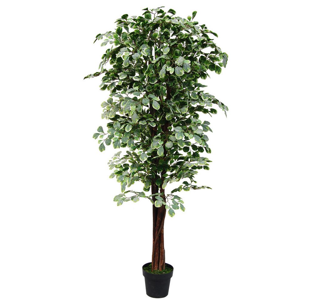 Kunstbaum Ficus Benjamin Kunstpflanze Künstliche Pflanze mit Echtholz 180 cm Ficus Benjamin, Decovego, Höhe 180 cm