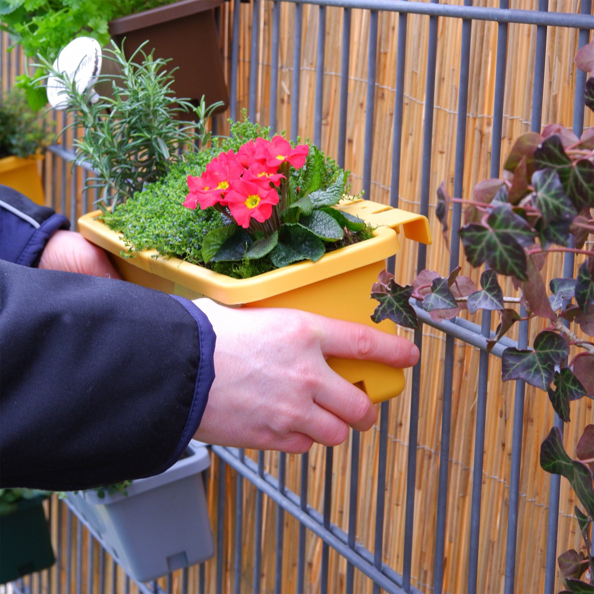 (3er Kräuterbox integrierter GreenLife Stück, Zwischenboden / 3 Blumenkasten GREENLIFE® komplett Blumenkasten Set), gelb,