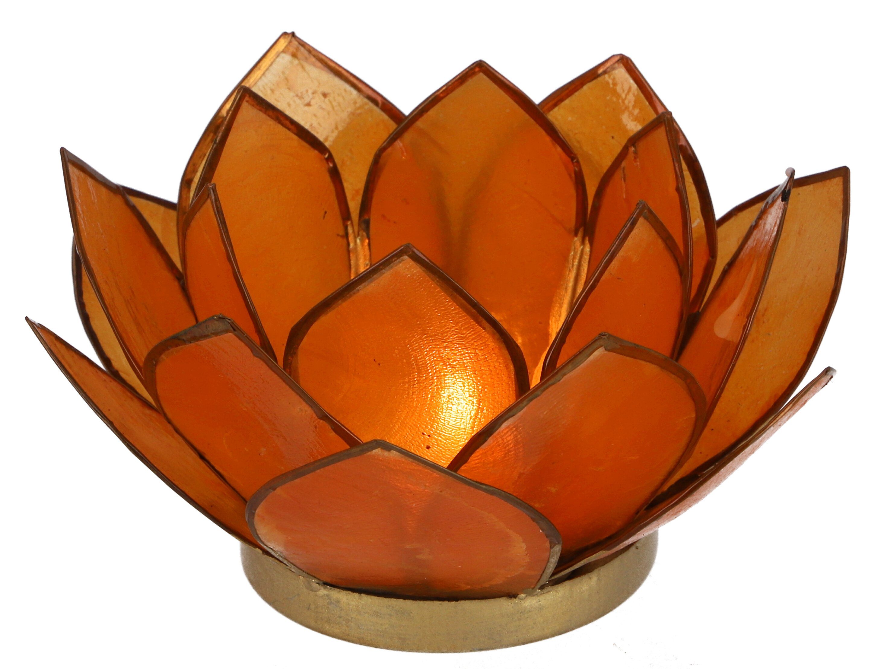Guru-Shop Windlicht Lotus Teelicht Muschel 14*6 cm - orange