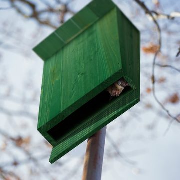 relaxdays Vogelhaus Grüner Fledermauskasten aus Holz
