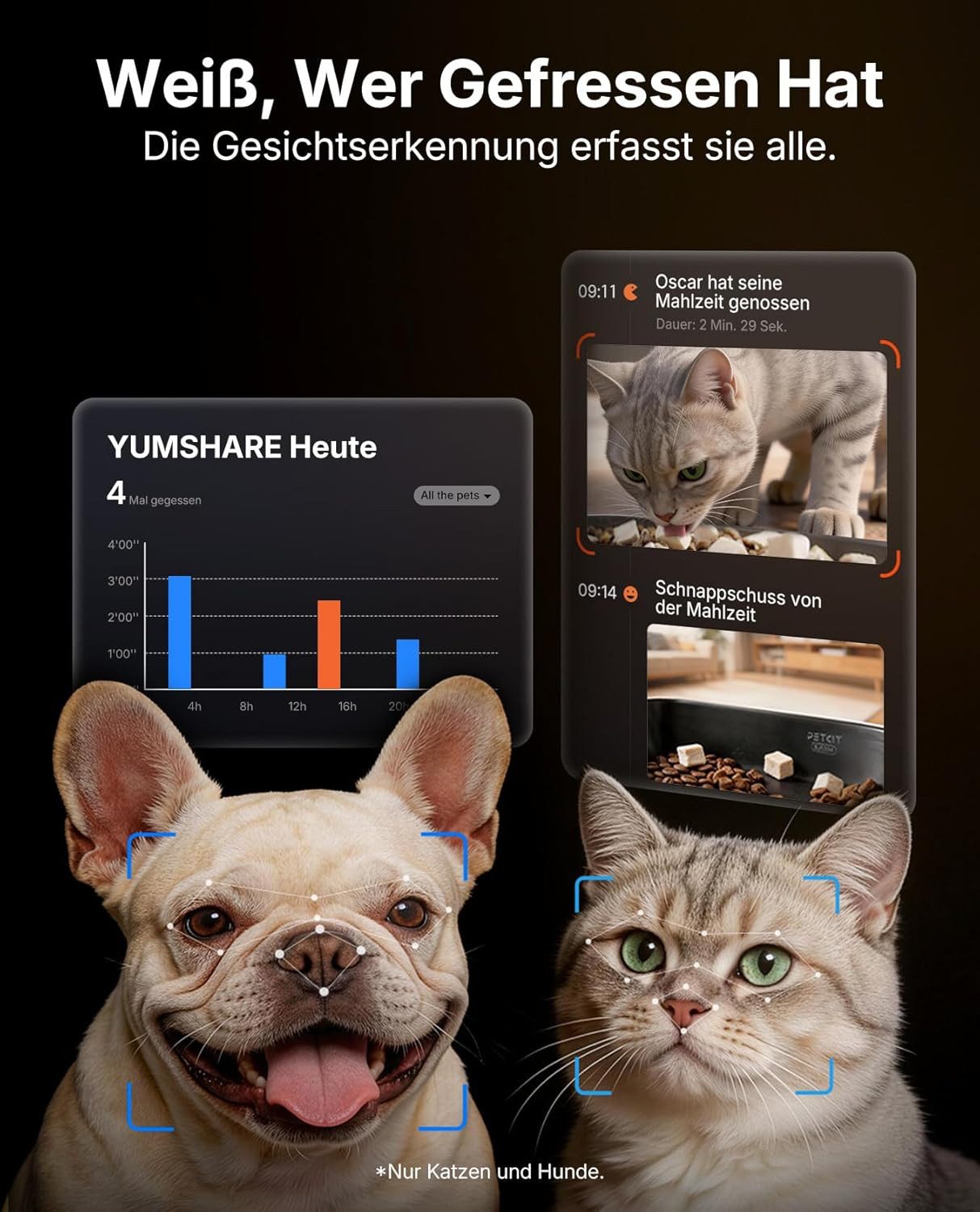 PETKIT Katzen-Futterautomat PETKIT YUMSHARE Dual-Hopper with Camera Smart Pet Feeder 2