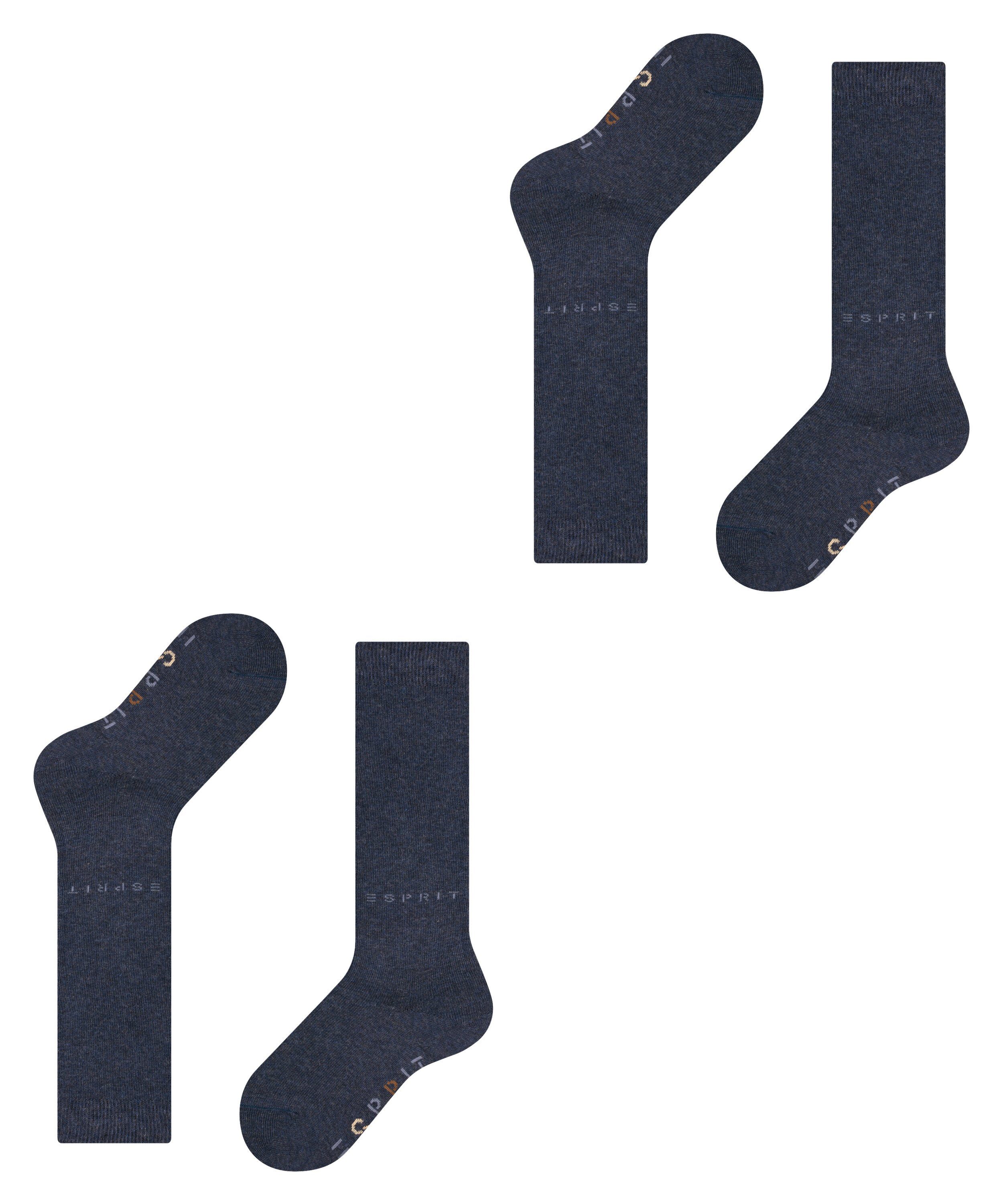 Logo m hautfreundlicher Esprit Foot 2-Pack Baumwolle (2-Paar) (6490) Kniestrümpfe navyblue aus