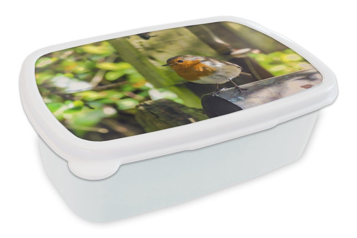 MuchoWow Lunchbox Vogel - Laub - Garten, Kunststoff, (2-tlg), Brotbox für Kinder und Erwachsene, Brotdose, für Jungs und Mädchen weiß