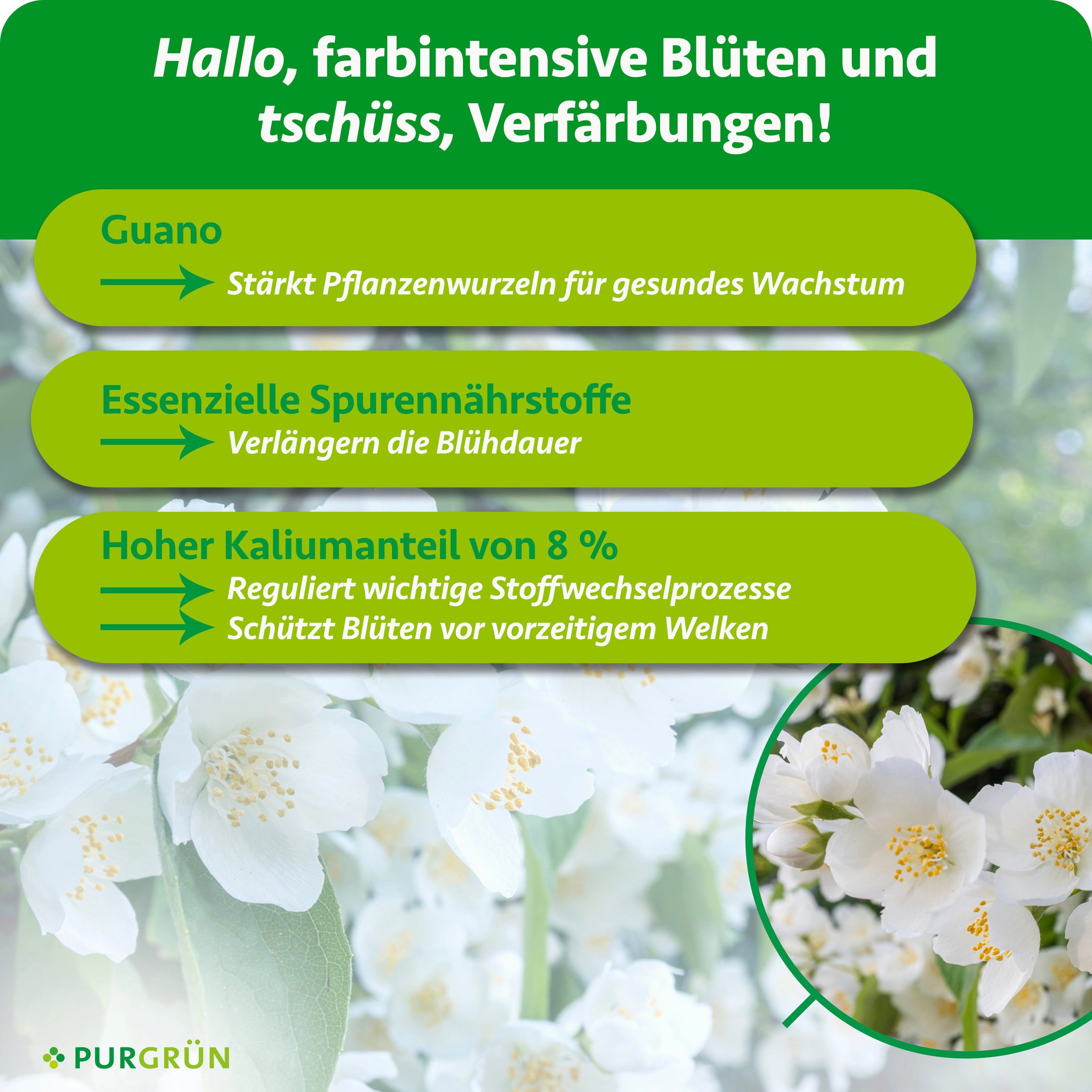 Purgrün Blumendünger Jasmin Dünger, NPK 5+7+8, Guano, 1 Liter, Flüssigdünger, 1-St., 1 Liter