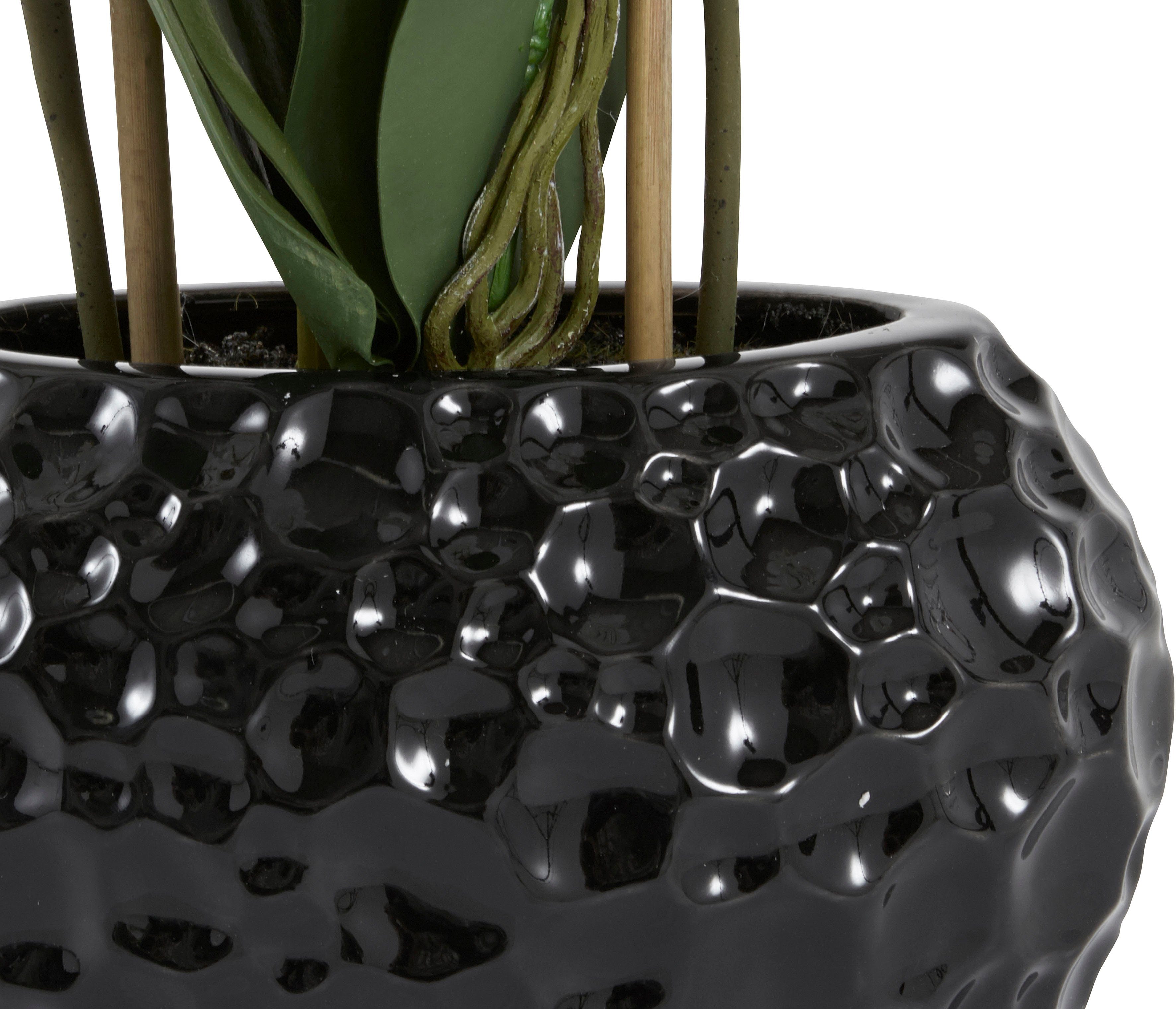Kunstpflanze Orchidee Orchidee, Leonique, Höhe 38 günstig online kaufen