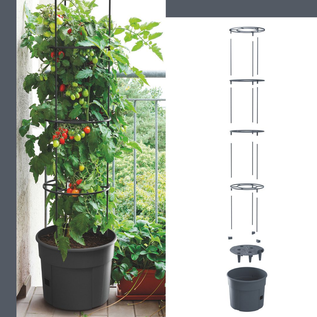 nm_trade Pflanzkübel Tomatentopf Blumentopf Tomatenkübel Topf günstig online kaufen