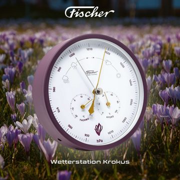 Fischer Fischer 1602-24 Wetterstation KROKUS 160mm Made in Germany Außenwetterstation