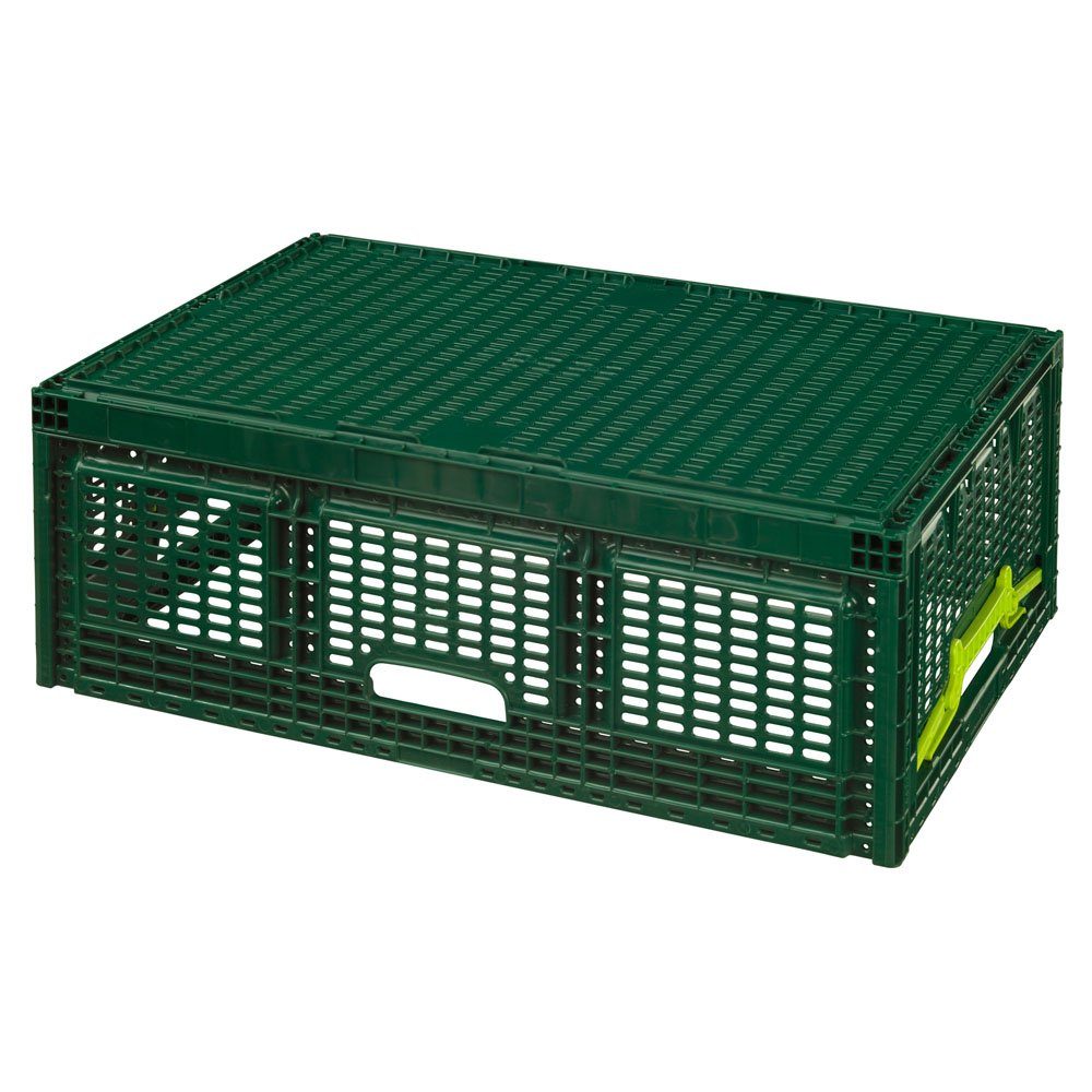 Logiplast Klappbox 10 stabile Einkaufskörbe / günstig online kaufen
