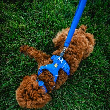 Ruffwear Hundeleine FRONT RANGE™ Leash - Blue Pool, Leine für alltägliche Abenteuer