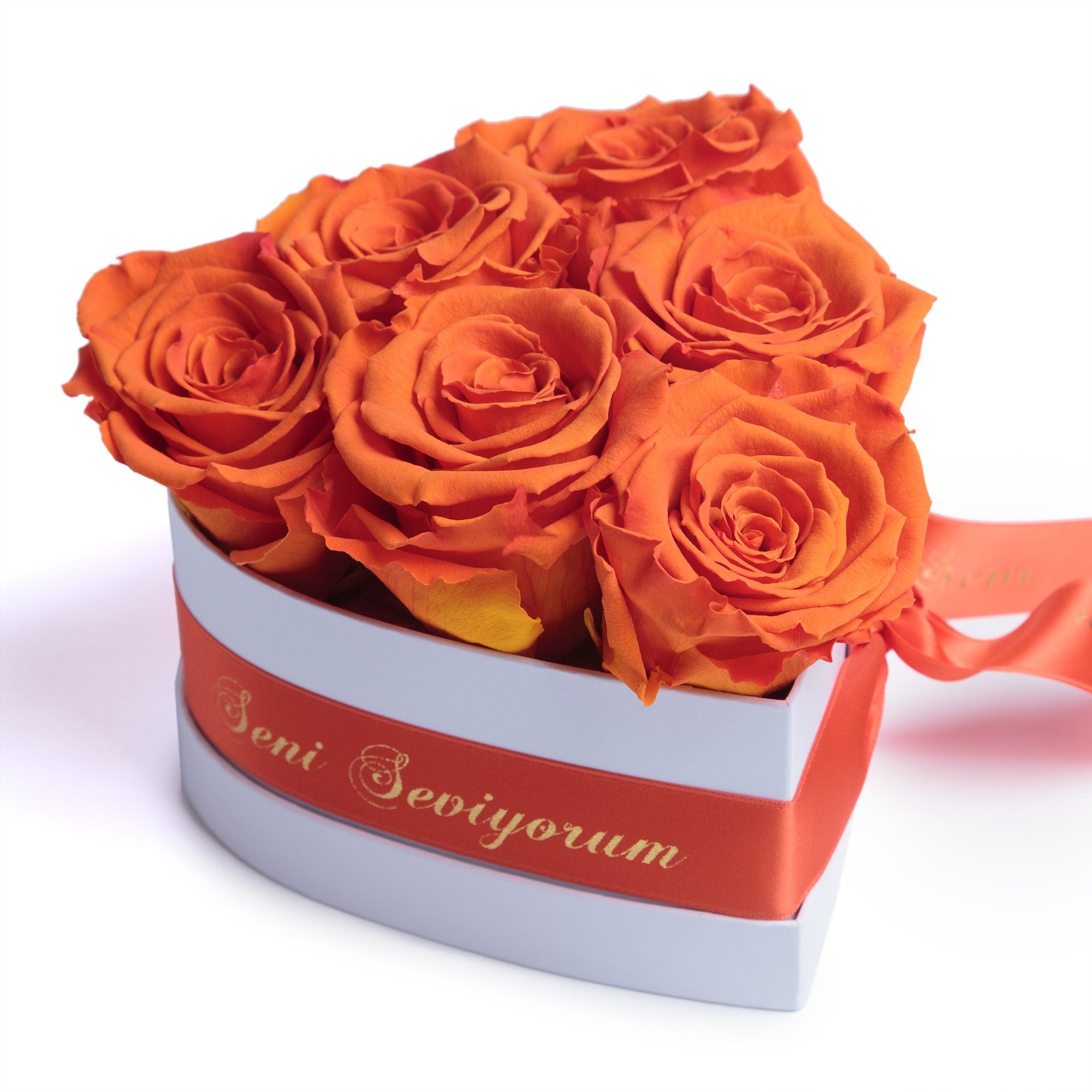 Seni Seviyorum Geschenk Infinity Rosenbox Rosenherz 6 konservierte Rosen Herzbox 