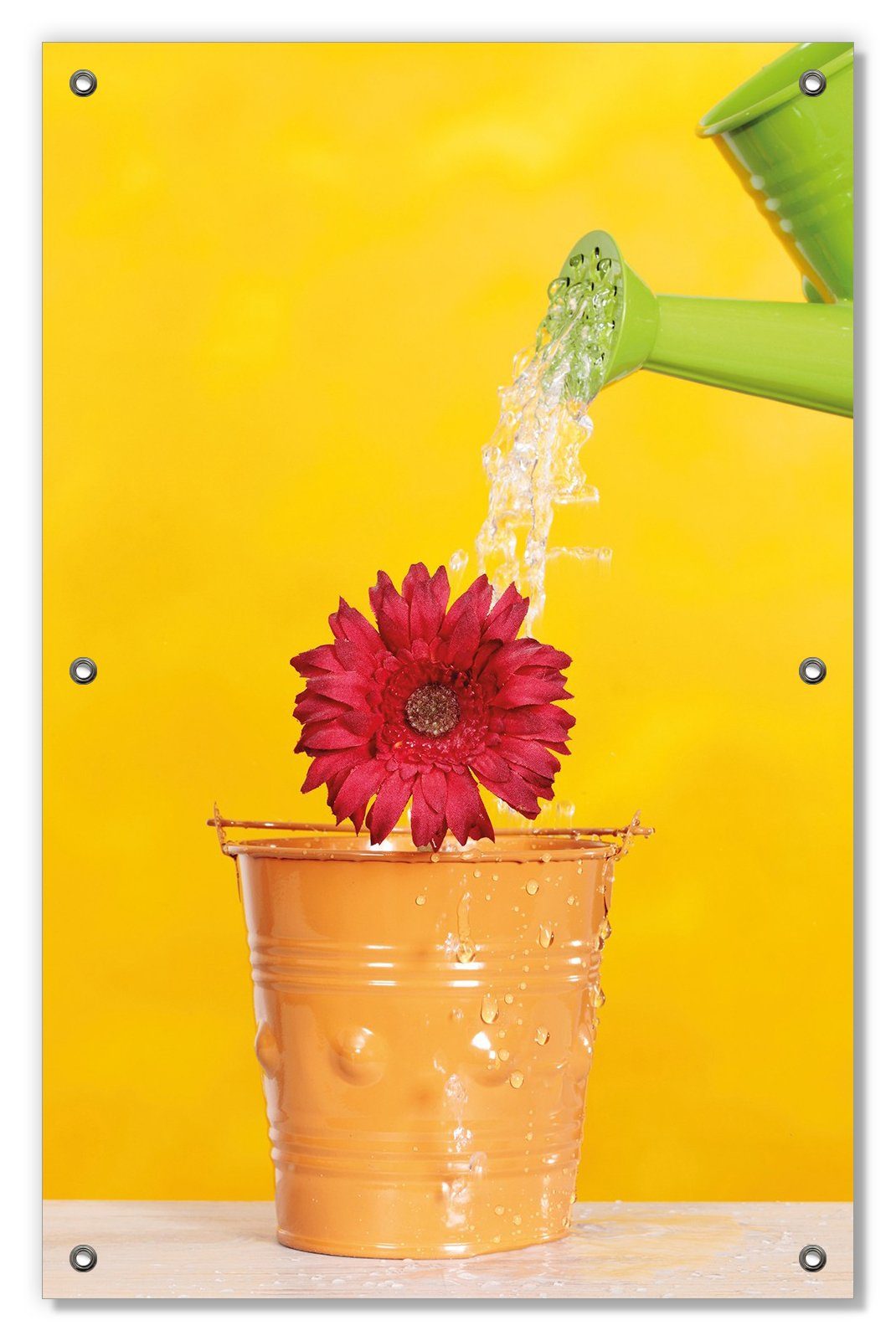 frisch Blumentopf mit blickdicht, Saugnäpfen, Wallario, und wiederablösbar wiederverwendbar begossen, im - Rote Sonnenschutz Blüte