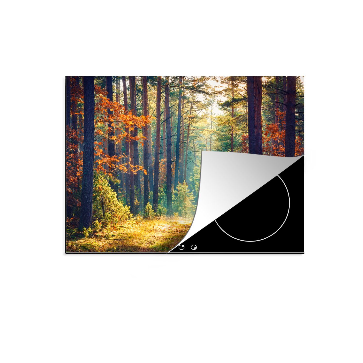 MuchoWow Herdblende-/Abdeckplatte Wald - Sonne - Natur - Herbst, Vinyl, (1 tlg), 58x51 cm, Küchen Dekoration für Induktionsherd, Induktionskochfeld