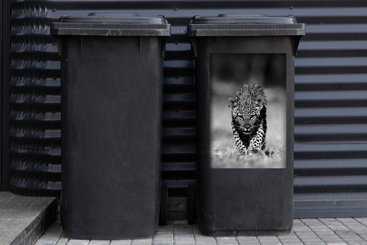 Mülleimer-aufkleber, Container, Abfalbehälter St), und Leopardenjungen (1 Porträt Mülltonne, weiß Wandsticker - schwarz Sticker, eines MuchoWow