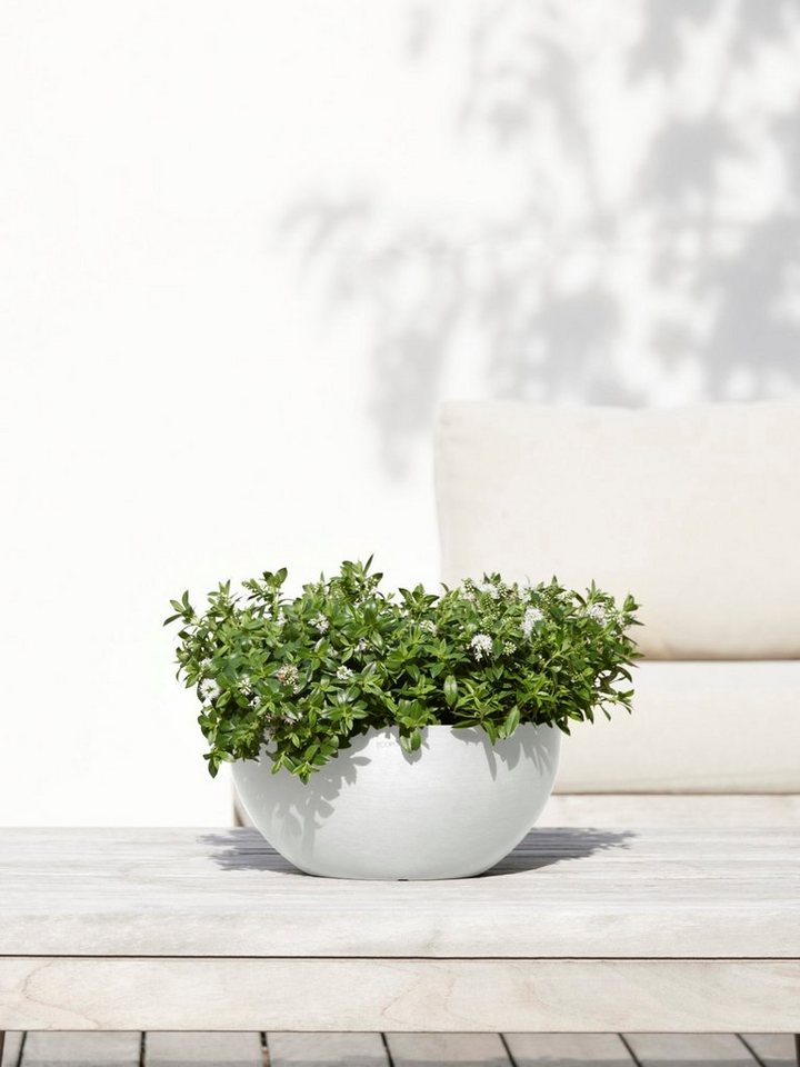 Thumbnail - ECOPOTS Blumentopf Brussels 30 Weiß, für innen und außen: frostsicher, bruchsicher und lichtbeständig