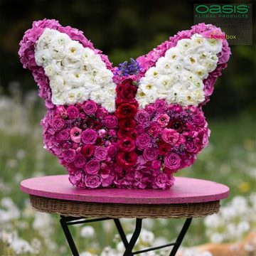 Oasis Schaumgummi OASIS® Schmetterling - 6 x 34,5 x 27,5 cm