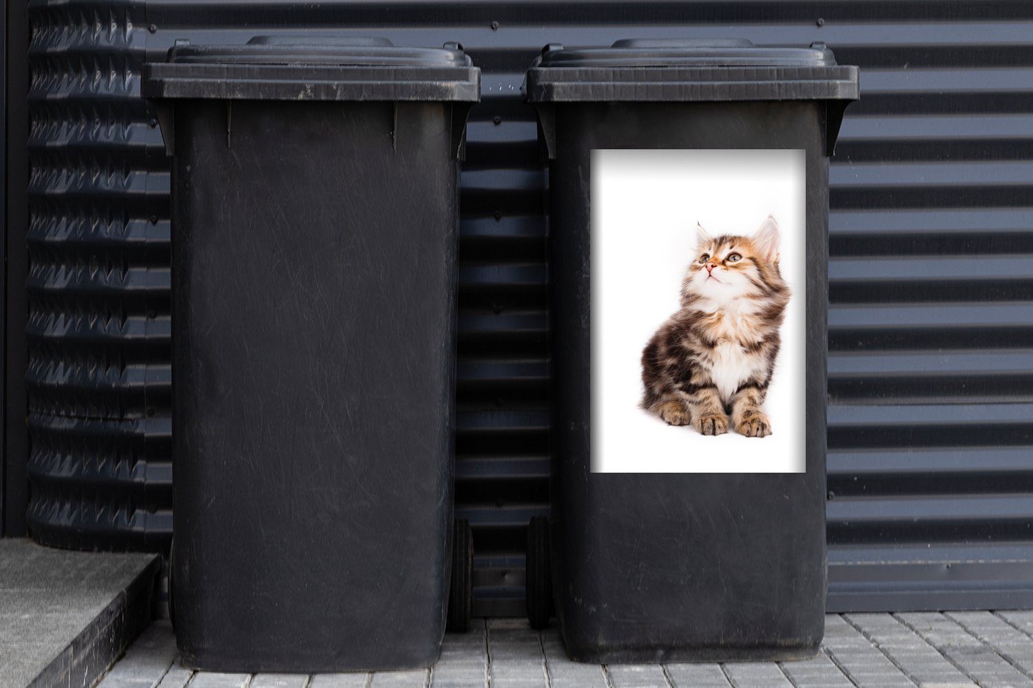 Sticker, (1 Container, Wandsticker Mülltonne, Hintergrund Mülleimer-aufkleber, Kätzchen schaut Abfalbehälter weißem vor auf St), MuchoWow