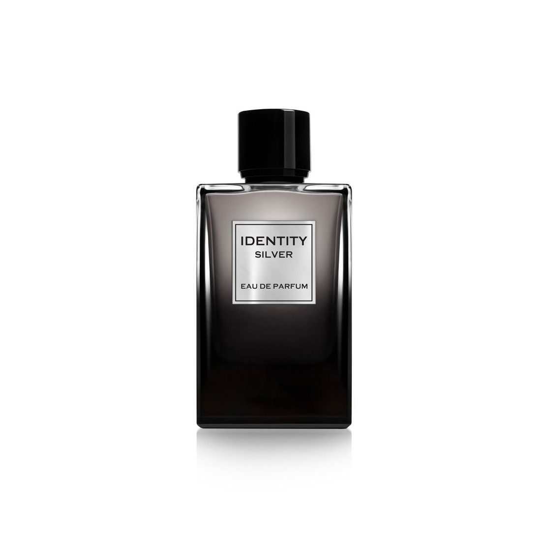 GA-DE Eau de Parfum GA-DE Identity Silver EDP Pour Homme 100 ml