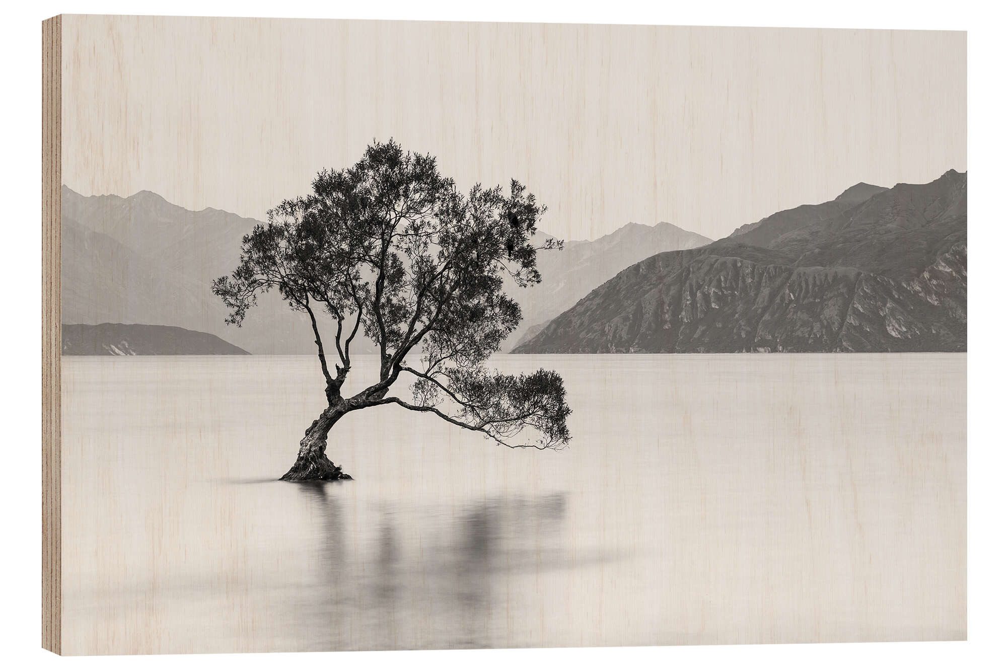 Posterlounge Holzbild Sebastian Warneke, Einsamer Baum / schwarz-weiß, Badezimmer Rustikal Fotografie
