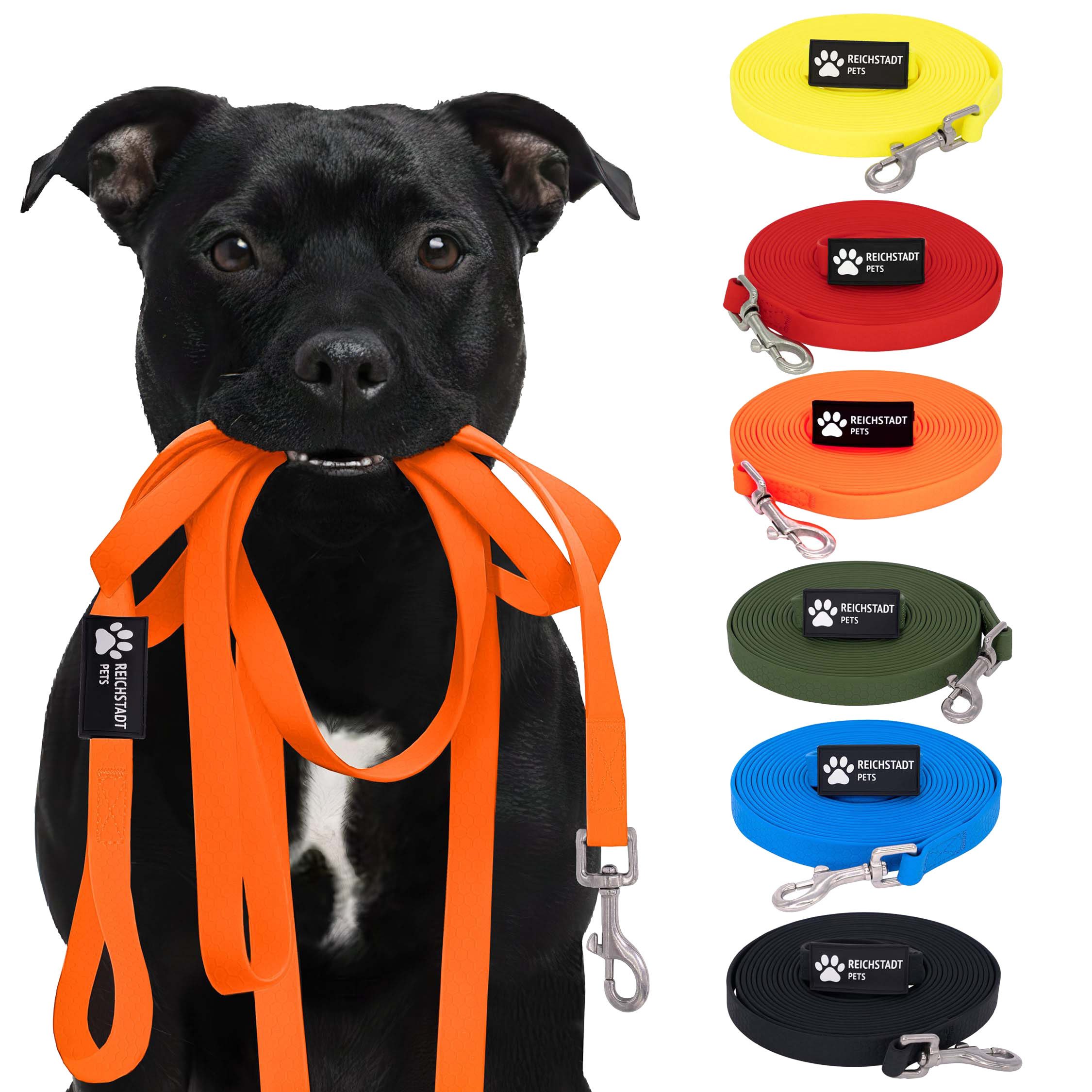 Reichstadt Hundeleine RS Pets Führleine Texturierte PVC 25RSP085, PVC, Weiche Handschlaufe mit Soft-Wrist-Strap