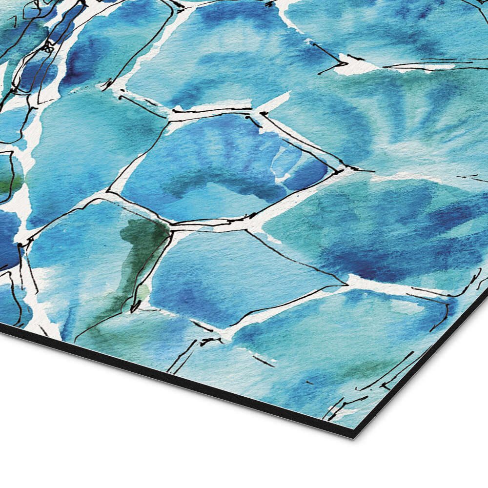 Posterlounge Wandbild Schildkröte IX, Anne Tavoletti, erhältlich als Poster, Leinwandbild, Wandsticker oder Acrylglasbild