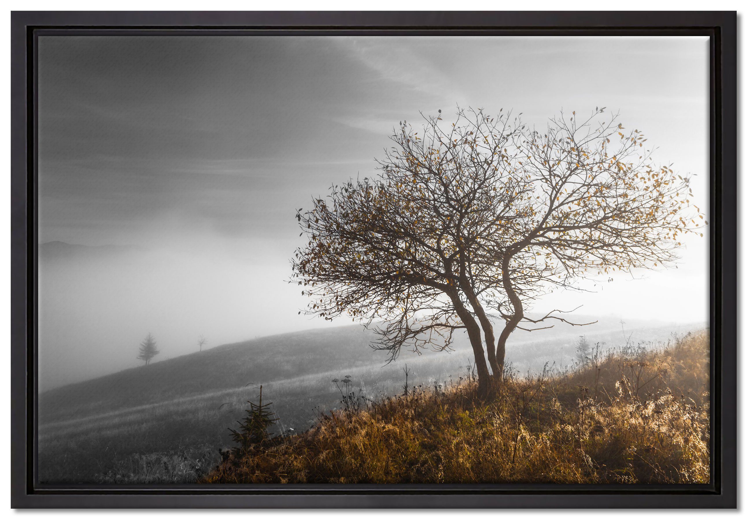 Pixxprint Leinwandbild Einsamer Baum auf Berg, Wanddekoration (1 St), Leinwandbild fertig bespannt, in einem Schattenfugen-Bilderrahmen gefasst, inkl. Zackenaufhänger