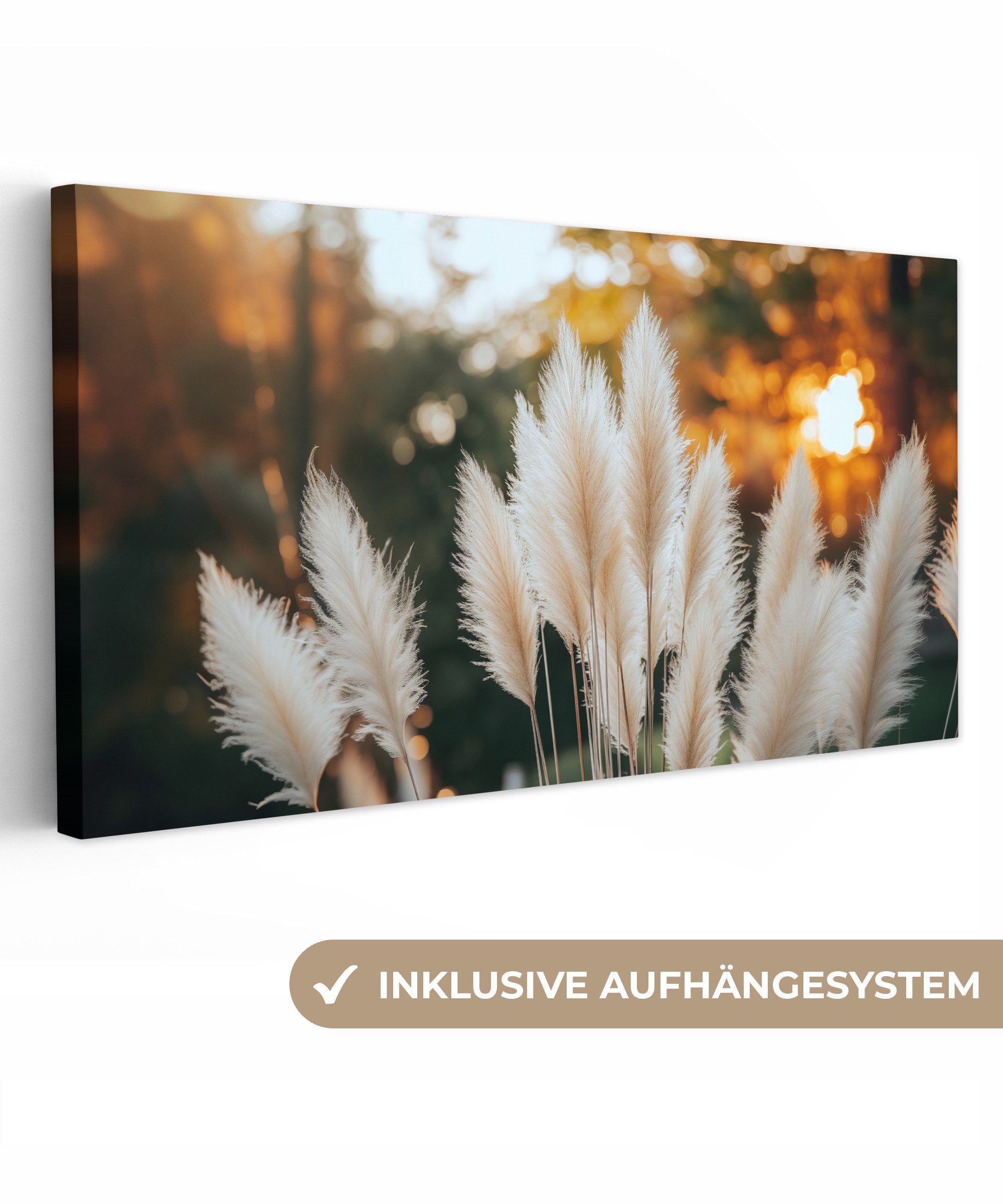 OneMillionCanvasses® Leinwandbild Panorama Pampasgras - Federn günstig online kaufen