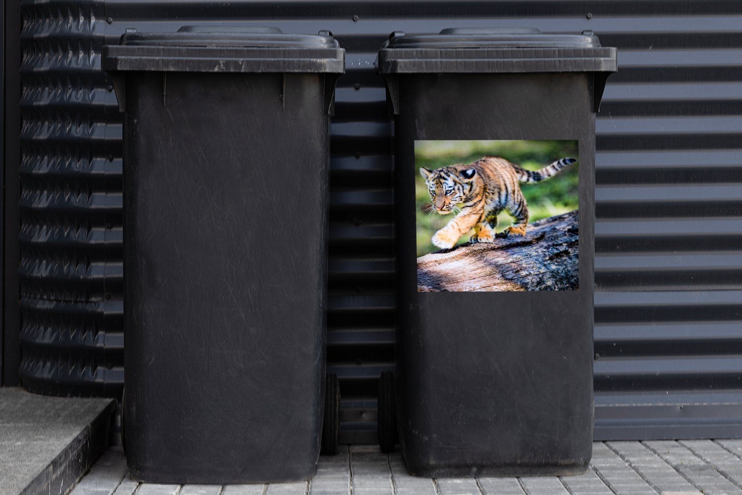 - Tiger Sticker, Abfalbehälter Mülleimer-aufkleber, Container, (1 Mülltonne, Baum - Junge MuchoWow St), Wandsticker