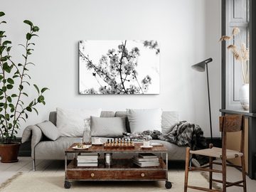 Sinus Art Leinwandbild 120x80cm Wandbild auf Leinwand Schwarz Weiß Fotografie Baumblüten Früh, (1 St)