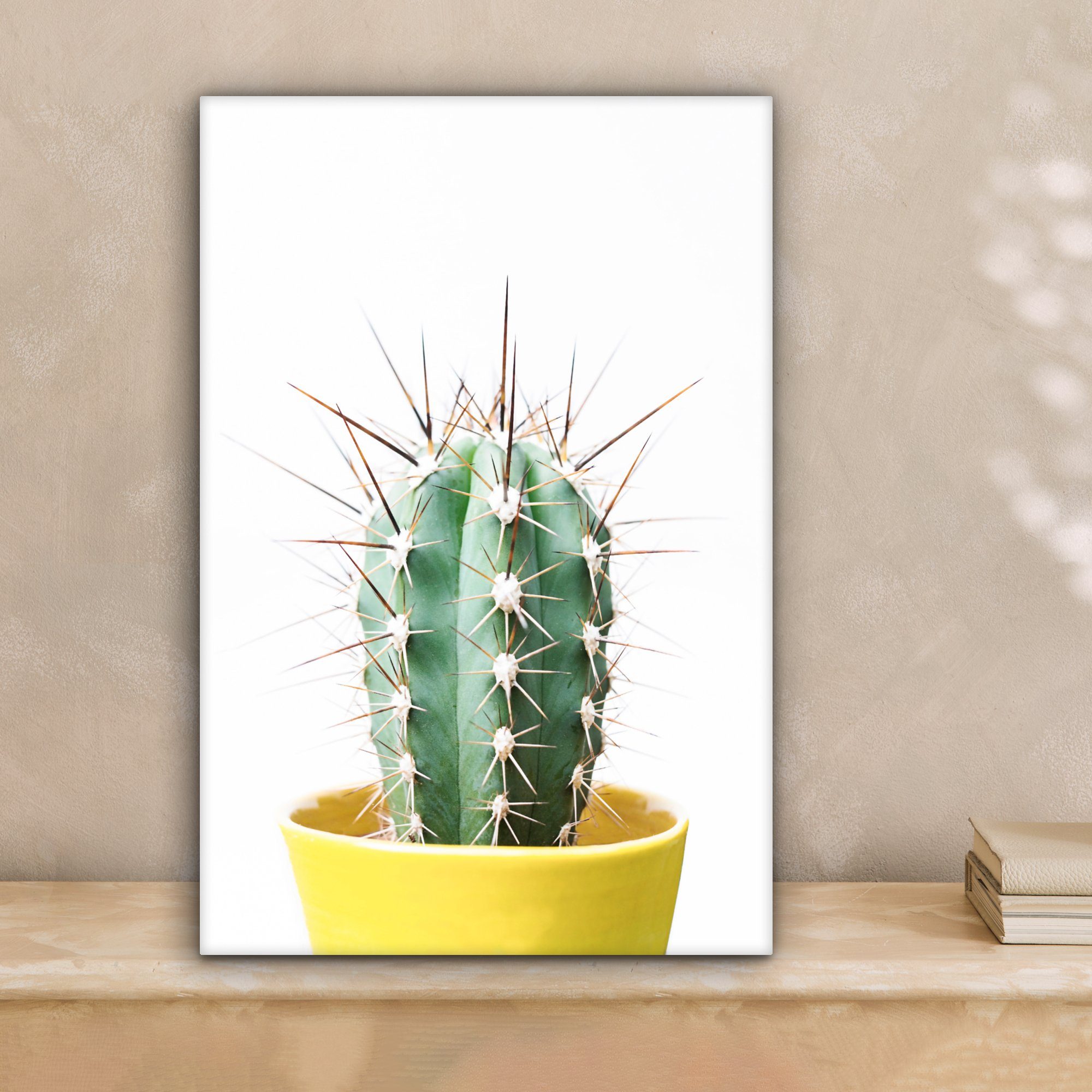 OneMillionCanvasses® Leinwandbild Kaktus - Pflanzen - günstig online kaufen