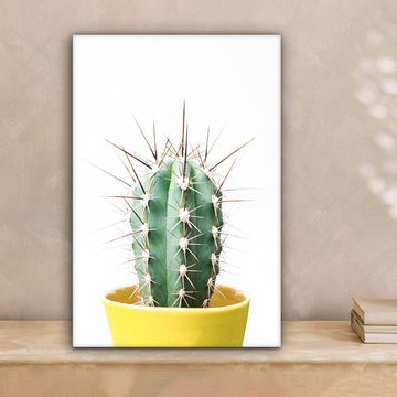 OneMillionCanvasses® Leinwandbild Kaktus - Pflanzen - Natur - Grün, (1 St), Leinwandbild fertig bespannt inkl. Zackenaufhänger, Gemälde, 20x30 cm