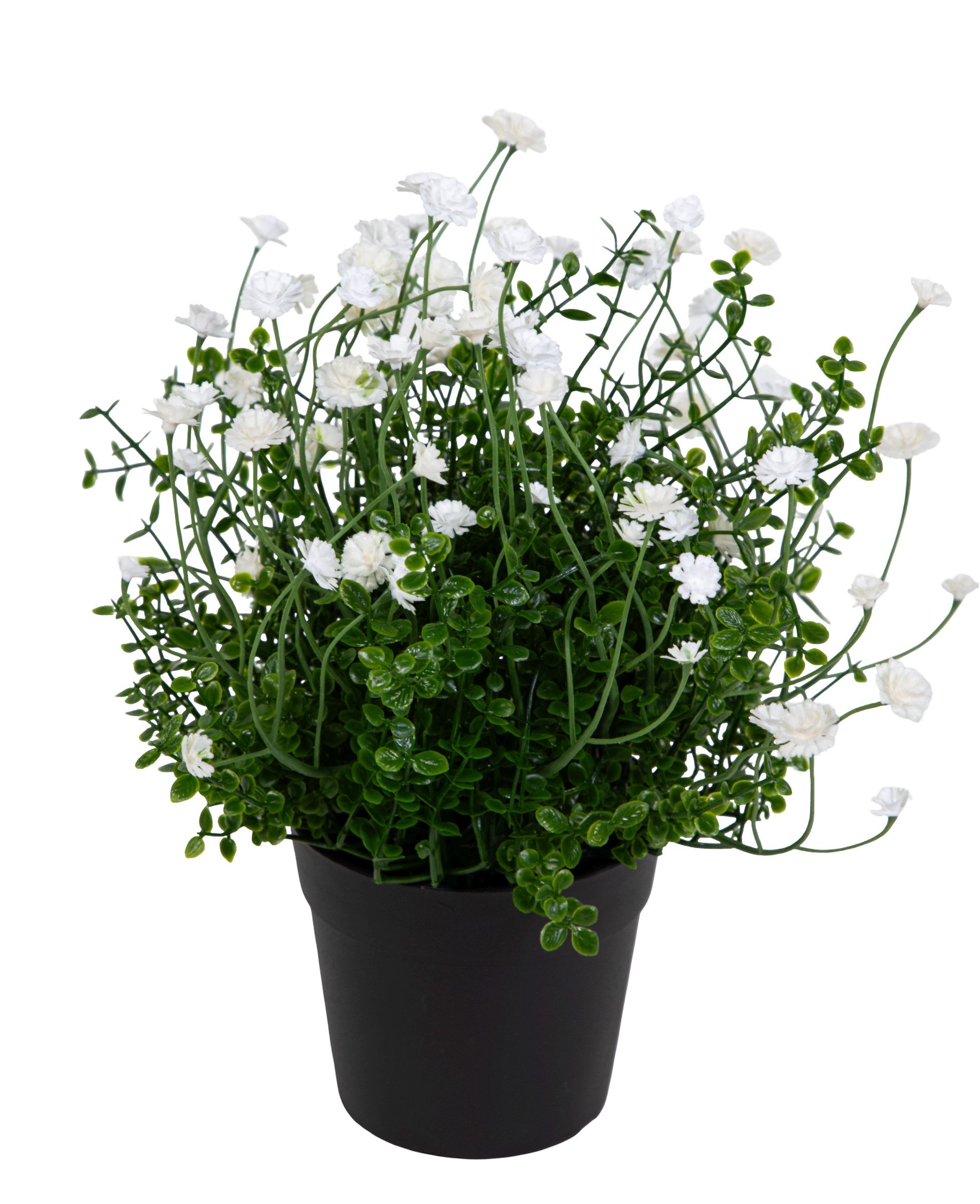 Kunstblume Blütenbusch Natural Look 24cm im Topf FT Kunstblumen künstliche Blume Schleierkraut, Seidenblumen Roß, Höhe 24 cm, Schleierkraut - weiß