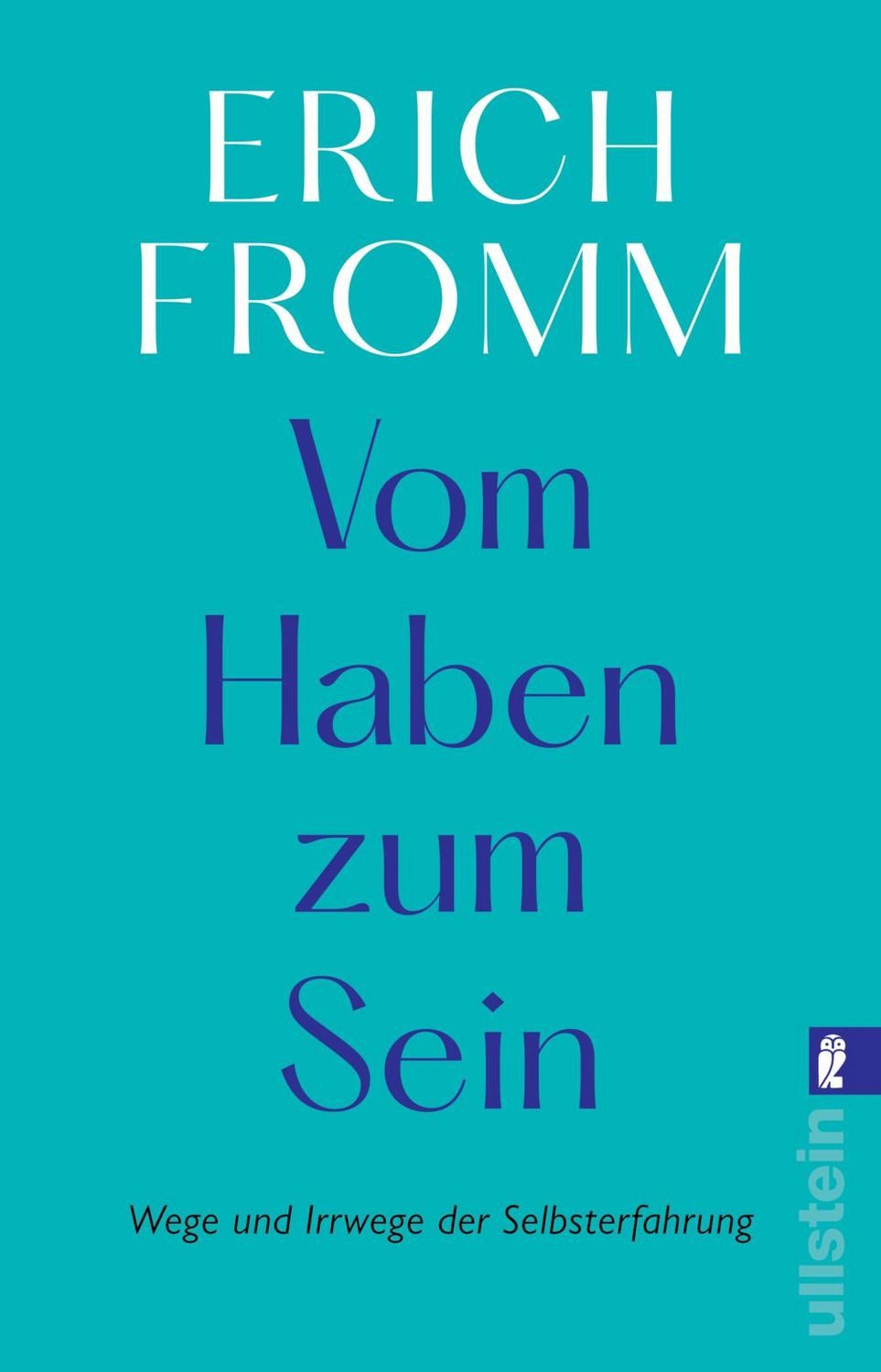 Sachbuch Vom Haben zum Sein Wege und Irrwege der Selbsterfahrung Erich Fromm