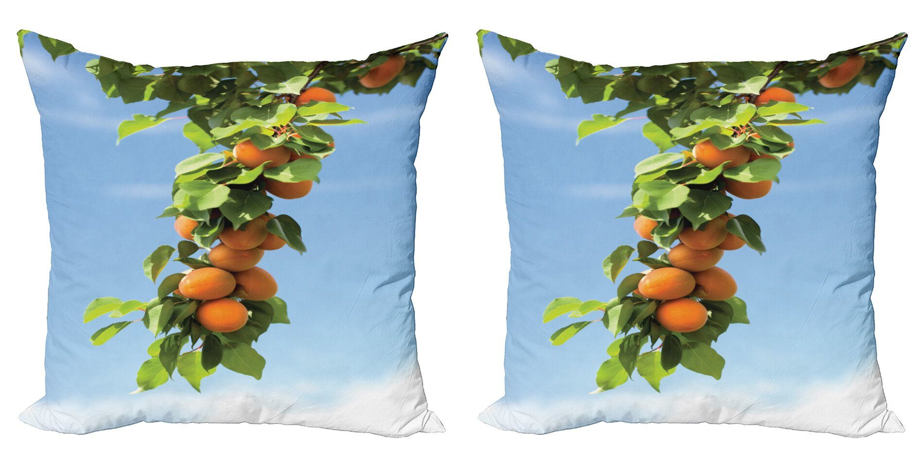 Kissenbezüge Modern Accent Doppelseitiger Digitaldruck, Abakuhaus (2 Stück), Aprikose Saftige Aprikosen auf Baum